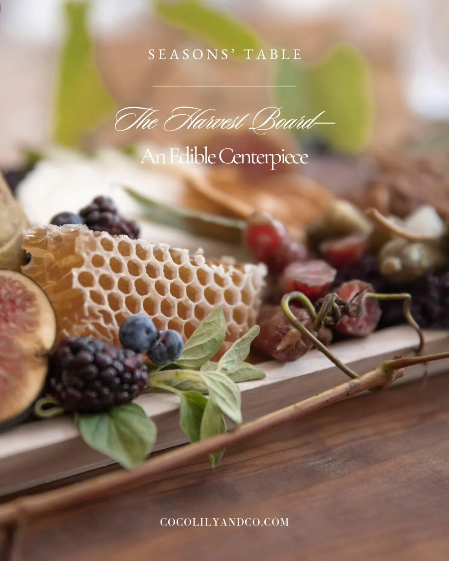Featured in the latest issue of COCOLILY Magazine.⁠
⁠
The Harvest Board&mdash;An Edible Centerpiece by Nicole Andrews of @therusticboard.ca⁠
⁠
The Fall/Winter Edition awaits &mdash; find it through the link in our bio or visit cocolilyandco.com⁠
⁠
⁠
