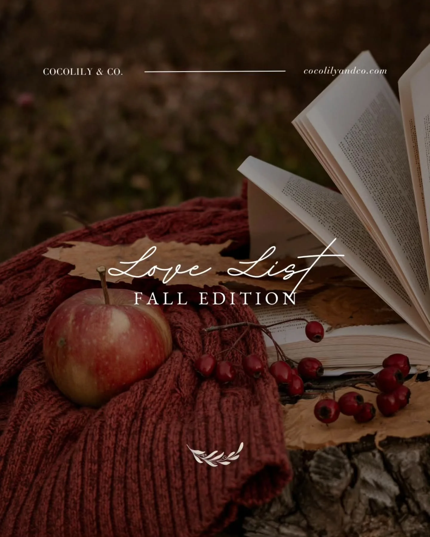 Now on the Journal....our Fall Love List.⁠
⁠
A curated little list of Fall things to love&mdash;for your home, your heart, and your kitchen.  We've even included a recipe for Apple Fritter Pancakes.⁠
⁠
*link in bio lovelies!⁠
⁠
⁠
.⁠
.⁠
.⁠
.⁠
.⁠
⁠
#Dr