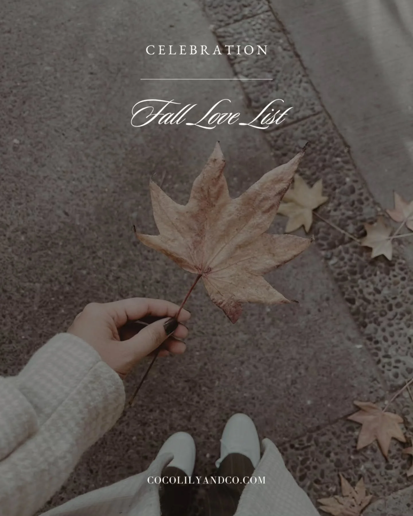 A touch of joy, a sprinkle of beauty&mdash;just for you. ⁠
Let this list gently guide you to live with intention, to love with kindness,⁠
and to give God thanks for the simple blessings that fill life with warmth and grace.⁠
⁠
Find this kind of gentl
