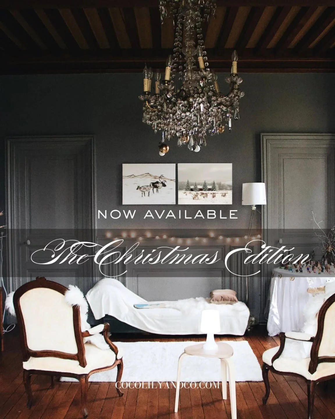 Our Christmas Edition is here &mdash; and the gift guide is the jewel of the season. ⁠🎀✨
⁠
Discover Canadian female-led brands, festive recipes, and seasonal inspiration.⁠🎄
⁠
Now Available at cocolilyandco.com⁠
✨*Visit Link in Bio*⁠✨
⁠
⁠
.⁠
.⁠
.⁠
.