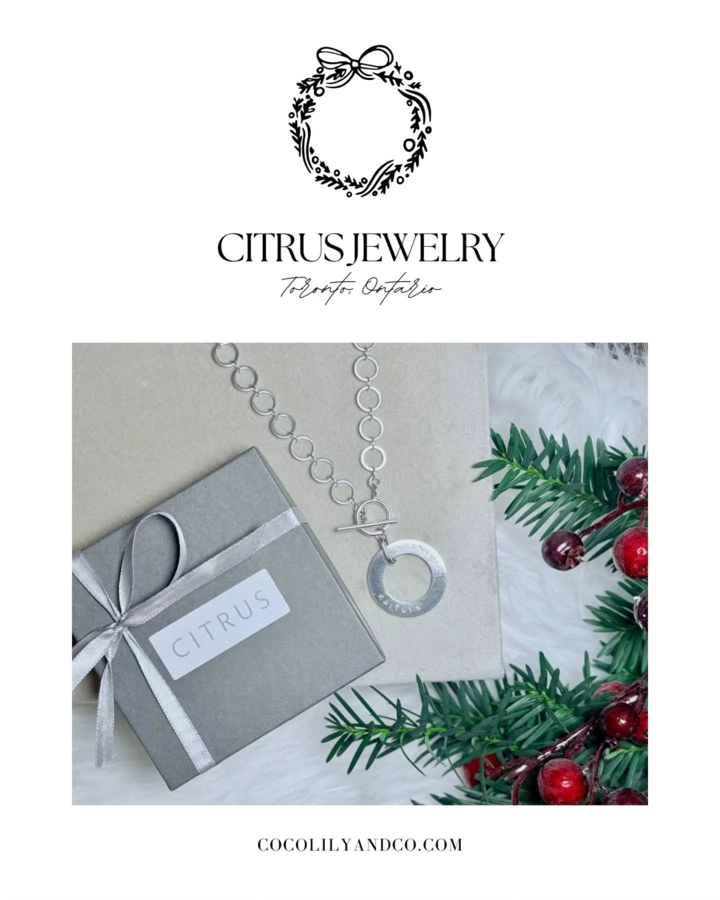 🎀 Vendor Spotlight: CITRUS Jewelry &mdash; Toronto, Ontario⁠
⁠
CITRUS Jewelry is a Toronto-based brand creating modern heirlooms that celebrate connection and memory. Each piece, handcrafted by artisan Trish Houghtling in sterling silver or gold, ca