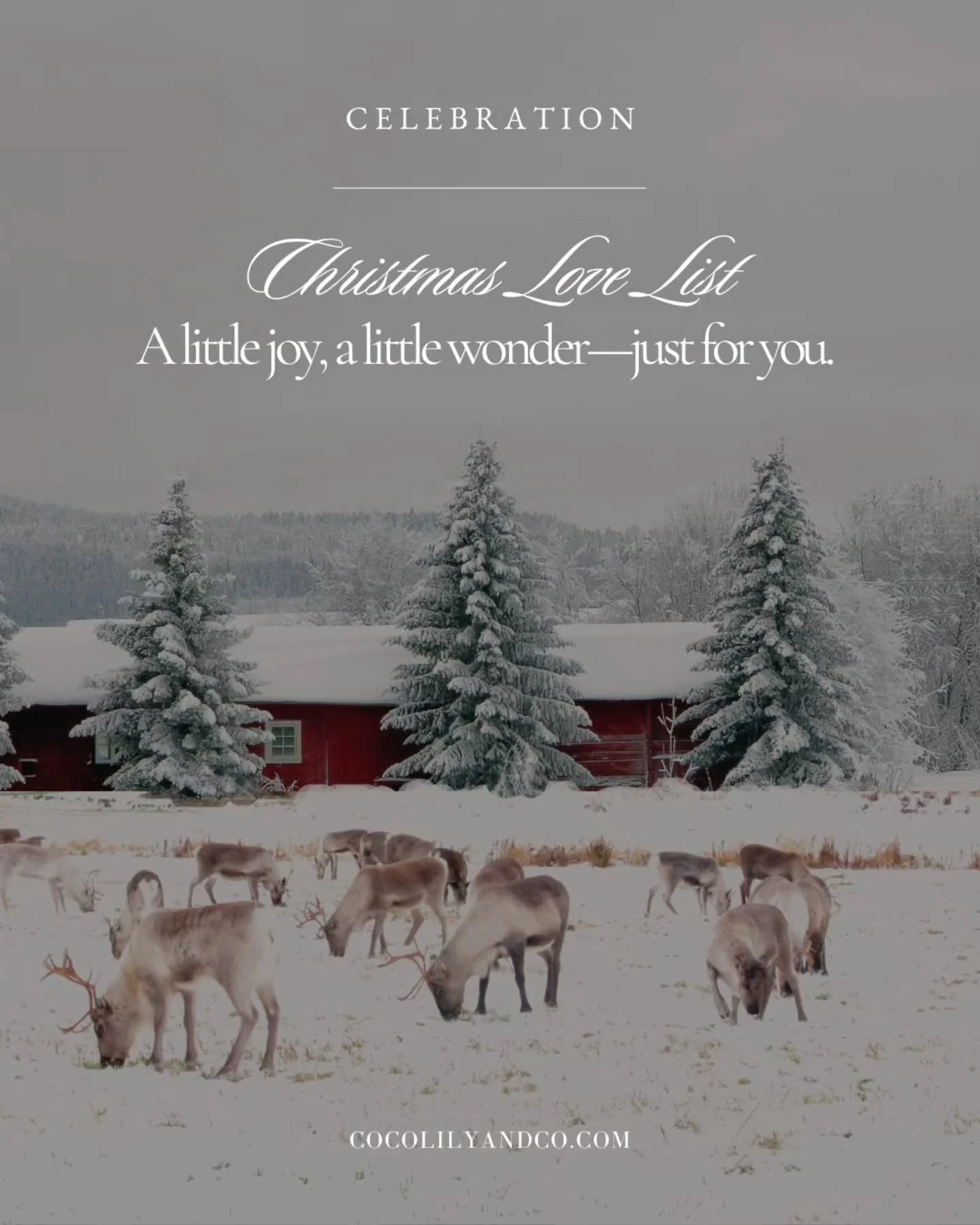 A little joy, a little wonder&mdash;just for you. ⁠
May this list inspire you to embrace the wonder of the season and cherish the true meaning of Christmas.⁠
⁠
Find this kind of inspiration (and so much more) in the Christmas Edition of COCOLILY Maga