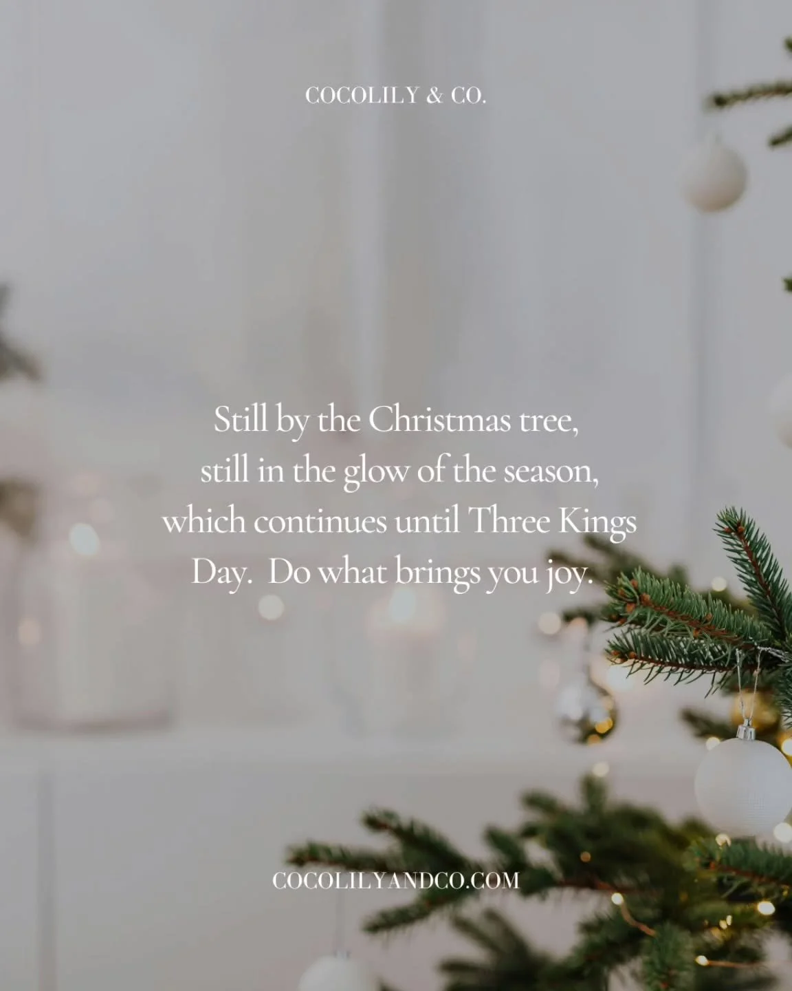 Still by the Christmas tree,⁠
still in the glow of the season,⁠
which continues until Three Kings Day.⁠
⁠
Keep it up, however long you like.⁠
There are no rules.⁠
Do what brings you more joy.⁠
⁠