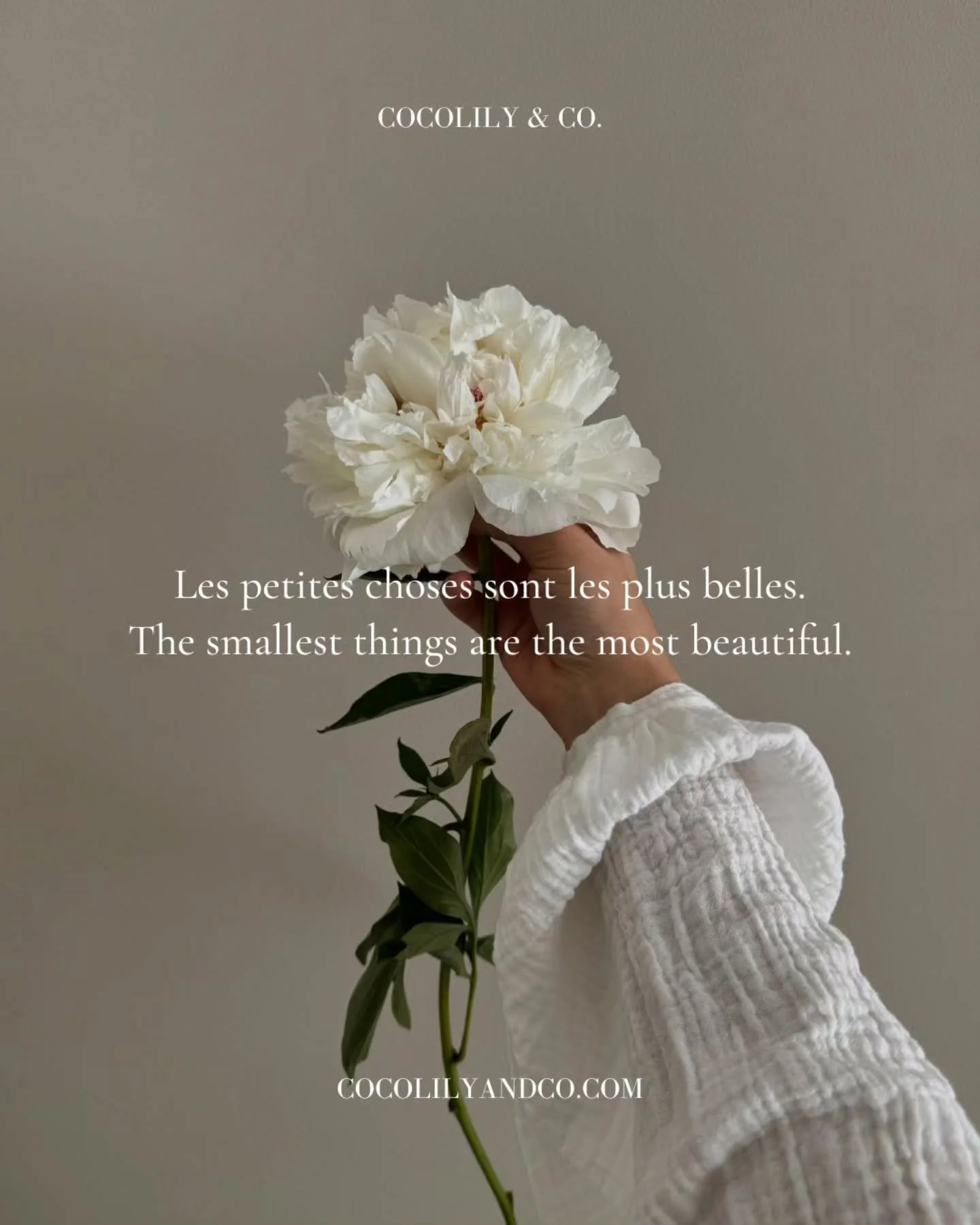 There is beauty in attending to what we love.⁠
&ldquo;Les petites choses sont les plus belles.&rdquo;⁠
The smallest things are the most beautiful.⁠
⁠
And that's why we created a petite luxury, just for you.⁠
An object for everyday optimism.⁠
⁠
Design