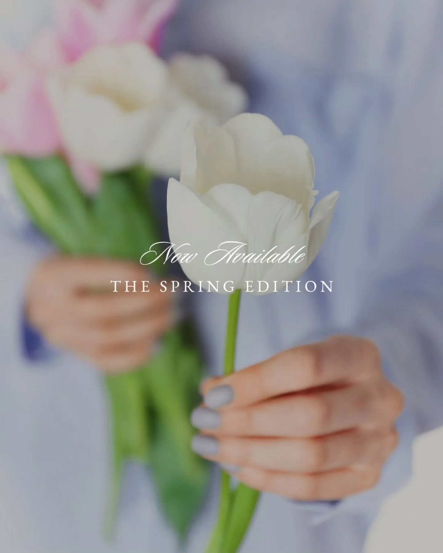 Creating our coffee table magazine was an ongoing process....a labour of love.⁠
⁠
Each page came together through one set of hands selecting images, editing words, proofreading, and adjusting the smallest details until everything felt right. Some day