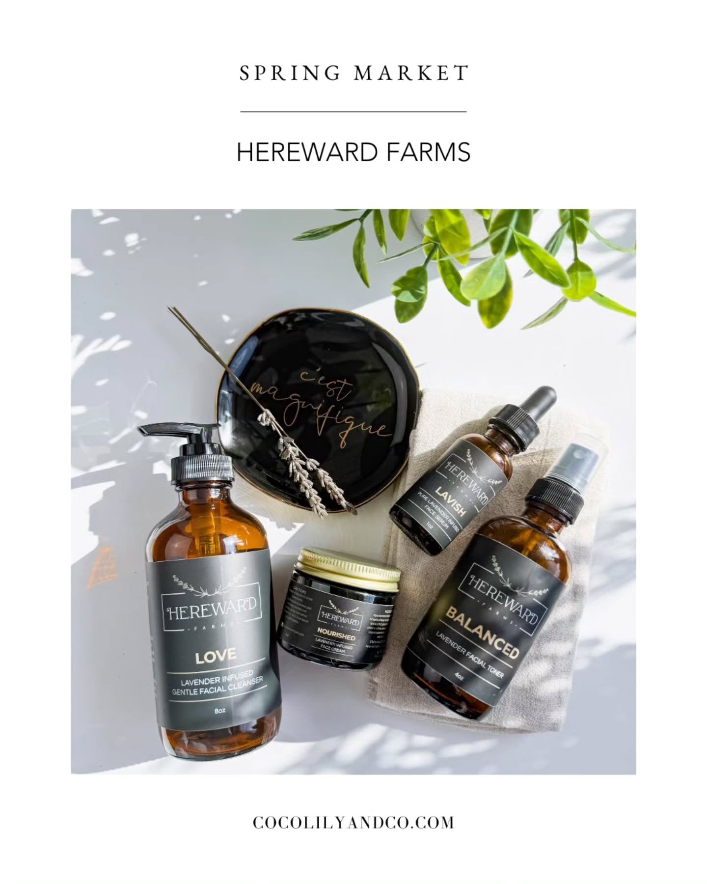 Hereward Farms / East Garafraxa, Ontario⁠
⁠
Hereward Farms creates all-natural, lavender-infused skincare and home products made in Canada. Every plant is grown, blended, and bottled on-site, turning lavender into products that bring calm and ease to