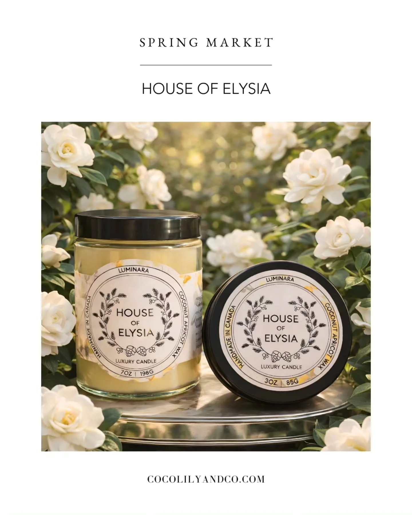 House of Elysia / New Brunswick⁠
⁠
House of Elysia is a Canada-based brand creating custom, in-house blended fragrances across a curated range of products, including candles, laundry detergent, and wax melts.⁠
⁠
Connect with @houseofelysiaco ⁠
Explor