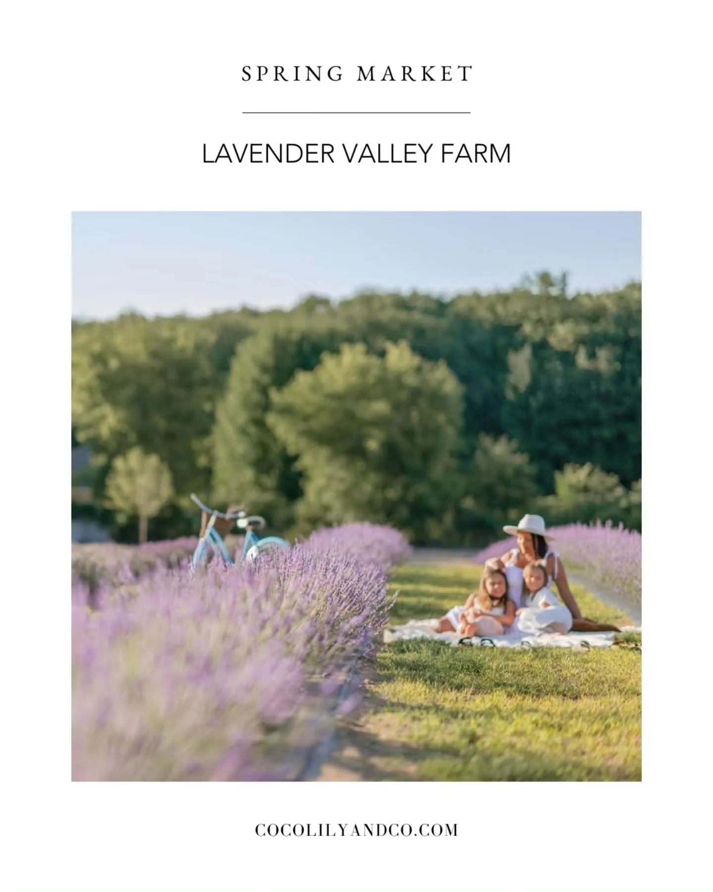 Lavender Valley Farm / Cookstown, Ontario⁠
⁠
Lavender Valley Farm is a family-run boutique farm offering a personal and welcoming experience. Visitors can explore the lavender fields, shop small-batch handcrafted products, book a photoshoot, or host 