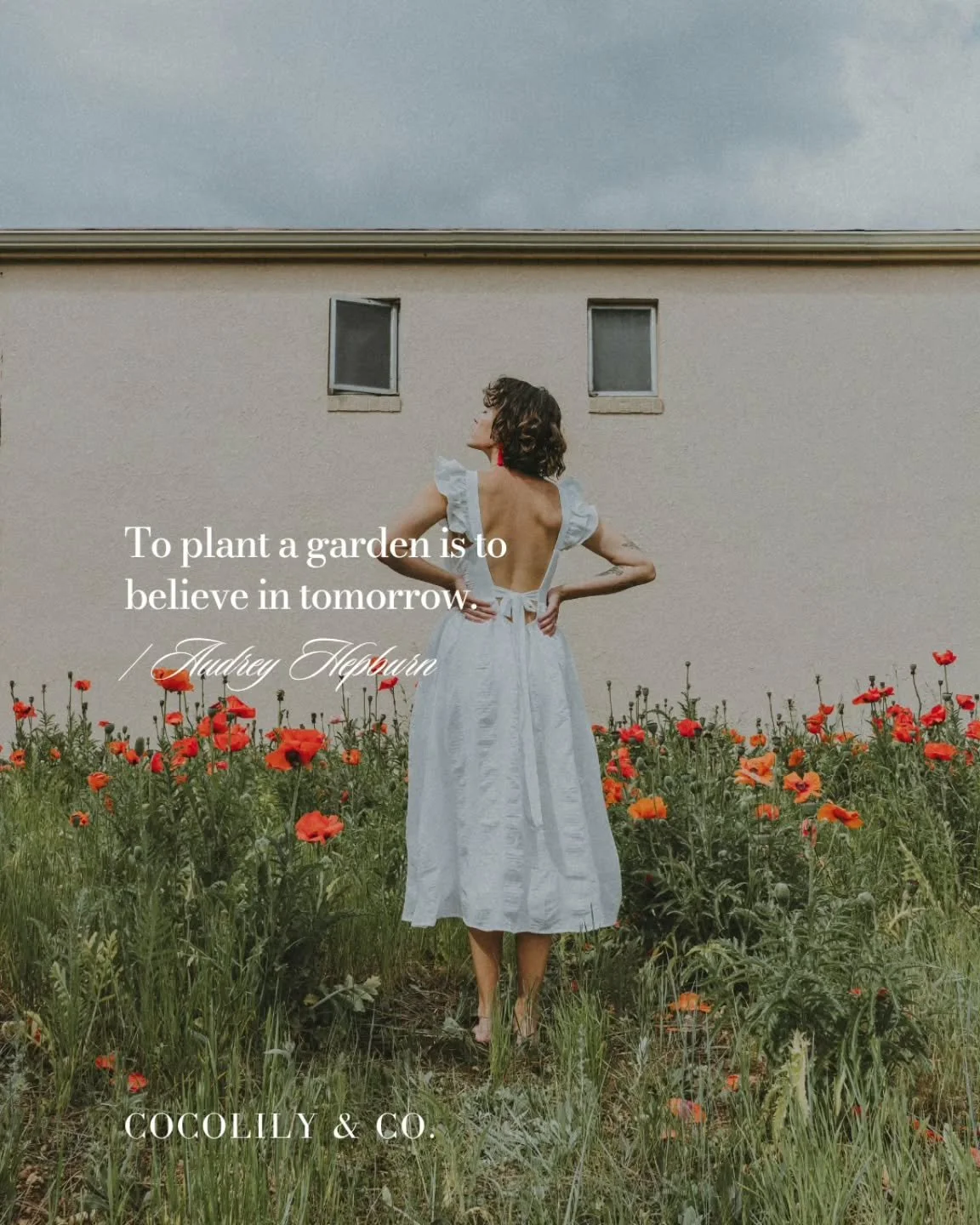Every seed we plant carries a little faith in what&rsquo;s next.⁠
xxo⁠
⁠
⁠
.⁠
.⁠
.⁠
.⁠
.⁠
.⁠
⁠
#inspiration #womeninbusiness #communityovercompetition #womensupportingwomen  #COCOLILYandCO