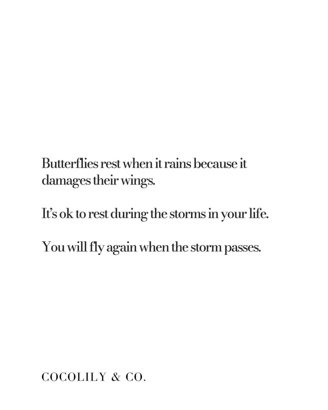 A Petite Reminder...⁠
⁠
Butterflies rest when it rains because it damages their wings. ⁠
It&rsquo;s ok to rest during the storms in your life. ⁠
You will fly again when the storm passes.⁠
⁠
xxo