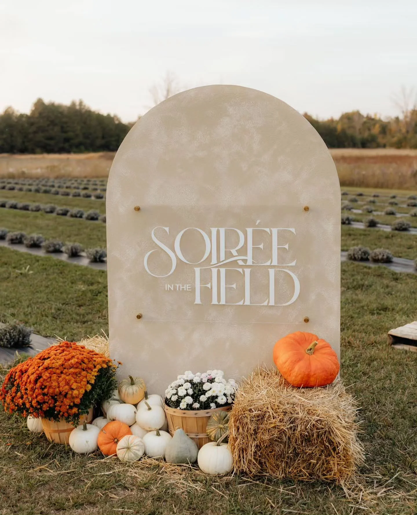 A lovely event to add to your September calendar. 🍂⁠
⁠
We are pleased to share the Harvest Picnic hosted by Soir&eacute;e in the Field on September 12 at Lavender Mills Farm.⁠
⁠
Guests will enjoy...⁠
&bull; entry into @lavendermillsfarm⁠
&bull; a Fa
