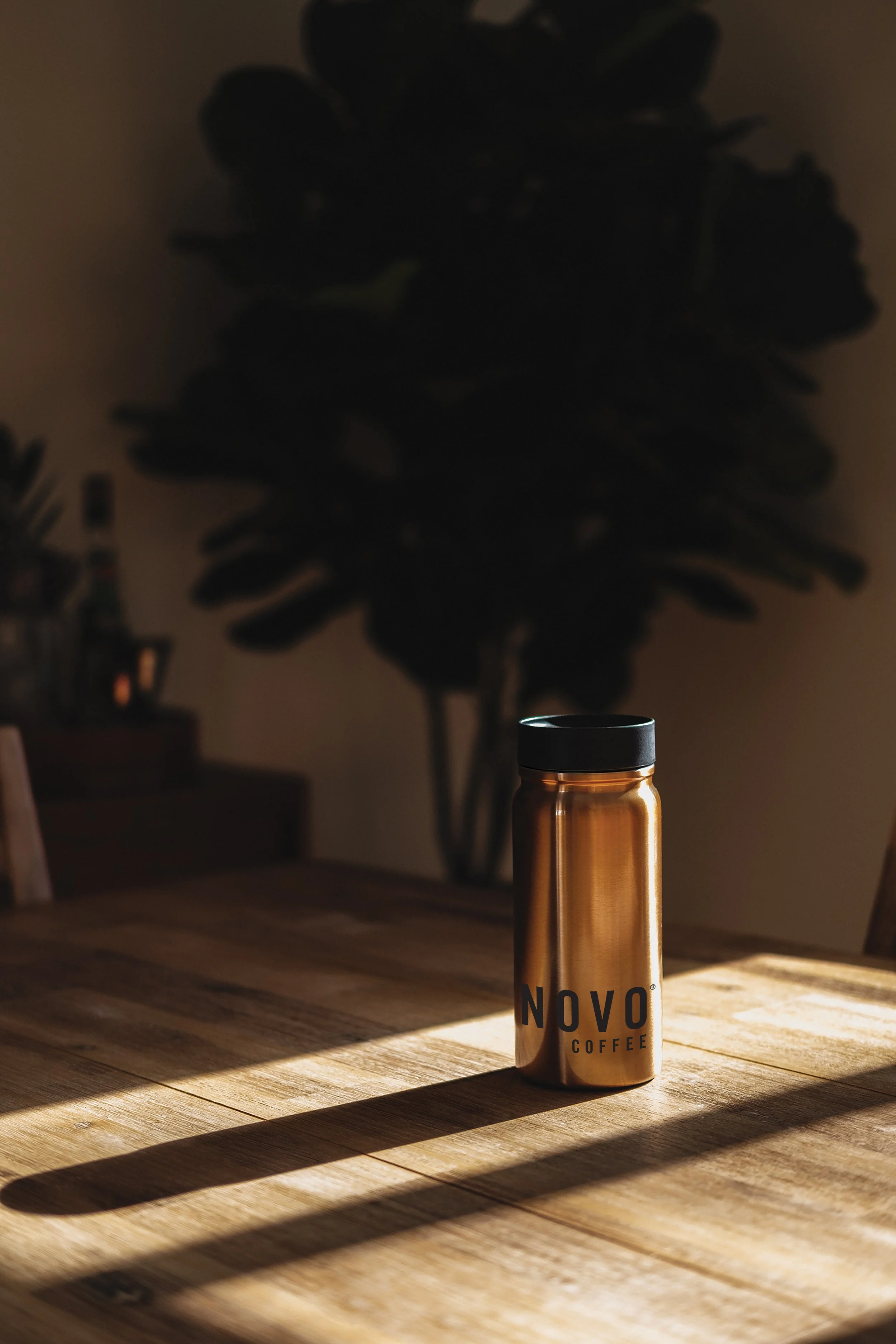 DW312_GLD_BEAUTY_LS.jpg