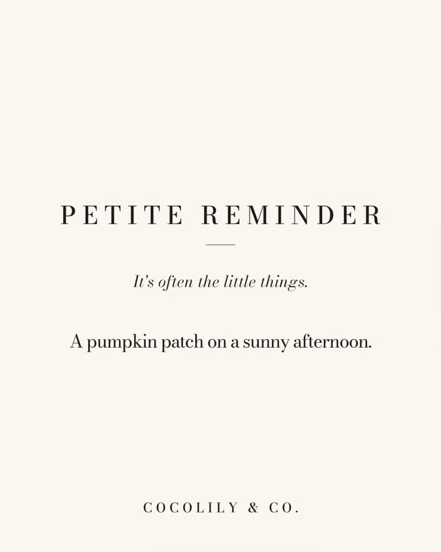 Petite Reminder.⁠
⁠
It&rsquo;s often the little things like...⁠
⁠
A pumpkin patch on a sunny afternoon. ⁠
⁠
⁠
⁠
⁠
⁠
⁠
.⁠
.⁠
.⁠
.⁠
.⁠
⁠
#PetiteReminder #DoWhatYouLove #PetiteJoys #inspiration #COCOLILYandCO