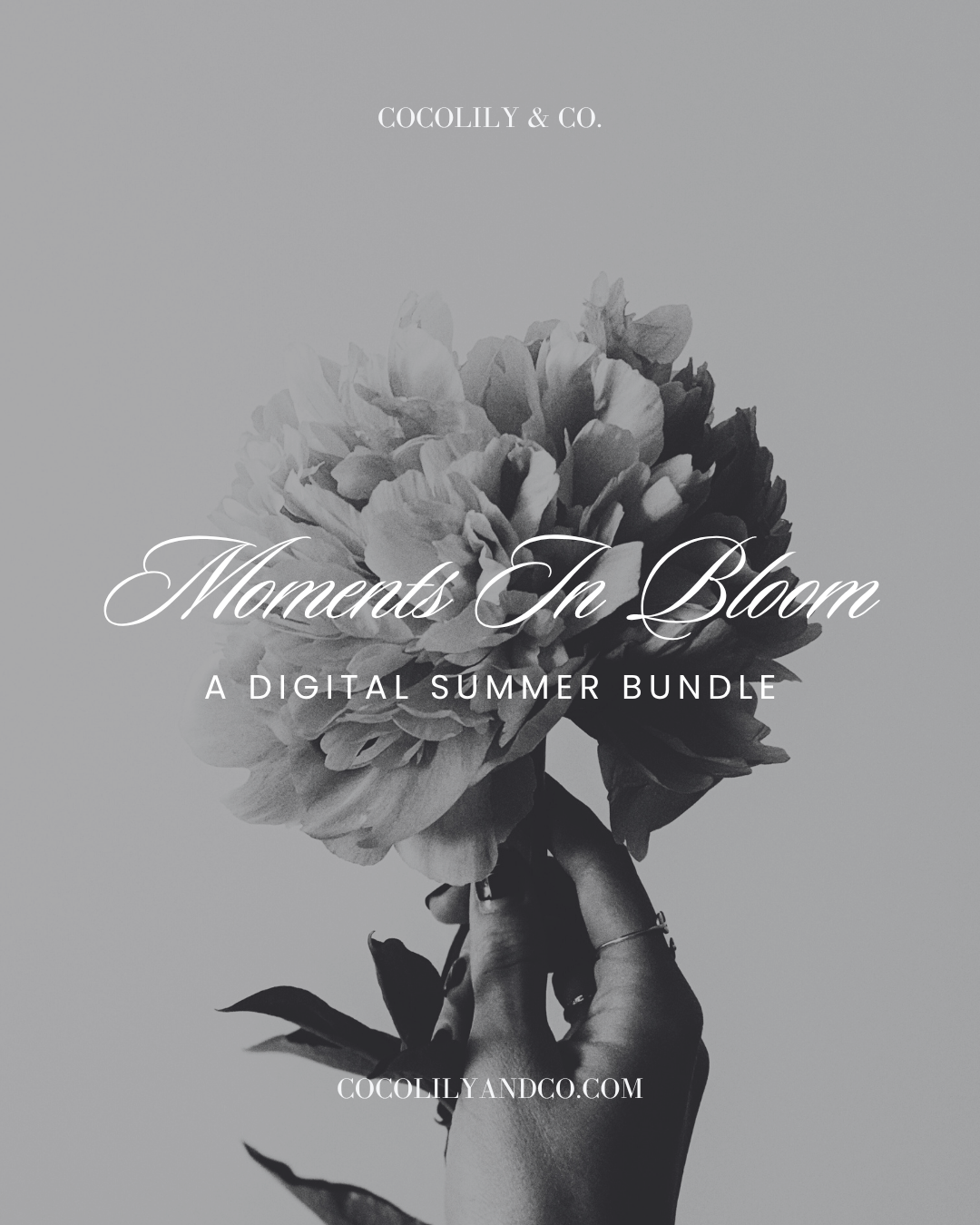 1 Moments In Bloom Digital Summer Bundle.png