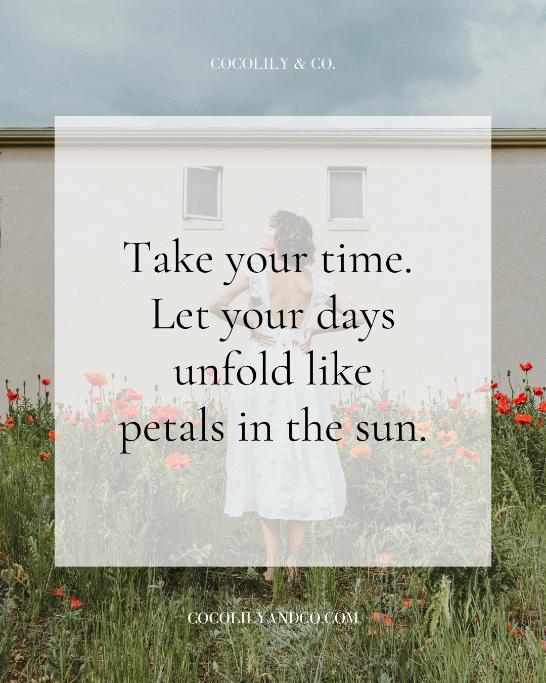 3 quote take your time.png