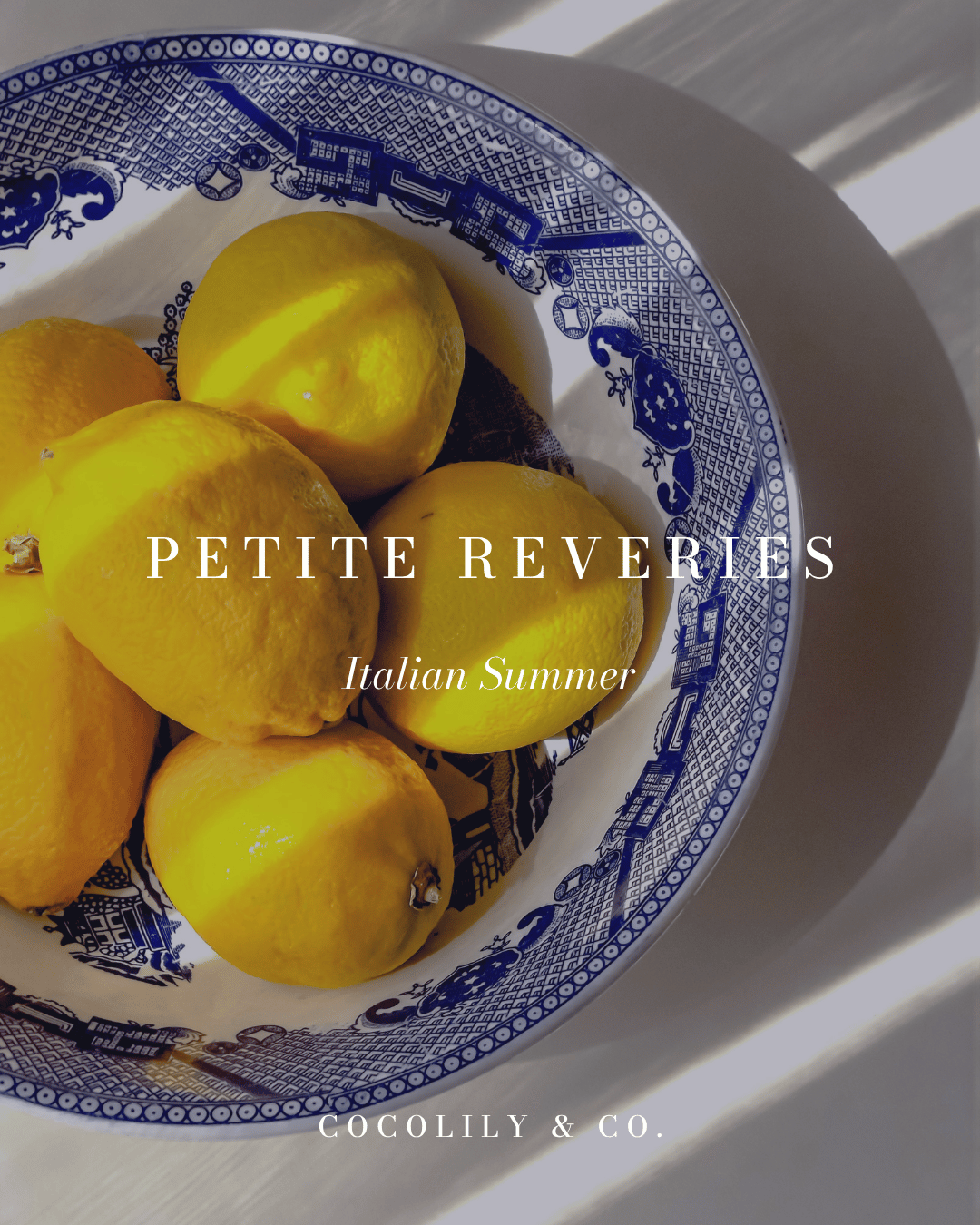 17 july PETITE REVERIES - social.png