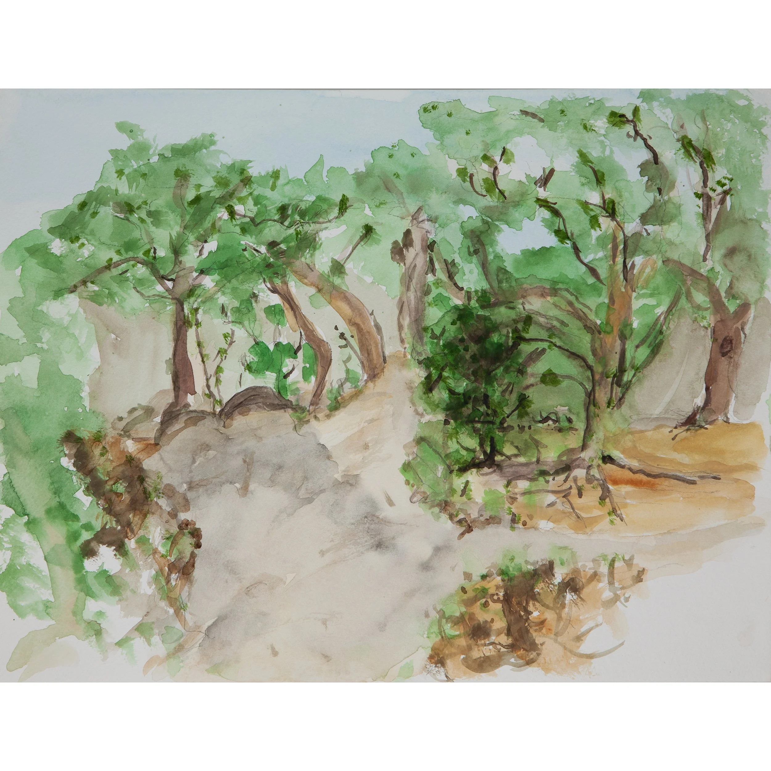 MeatRackStudy_051925.jpg
