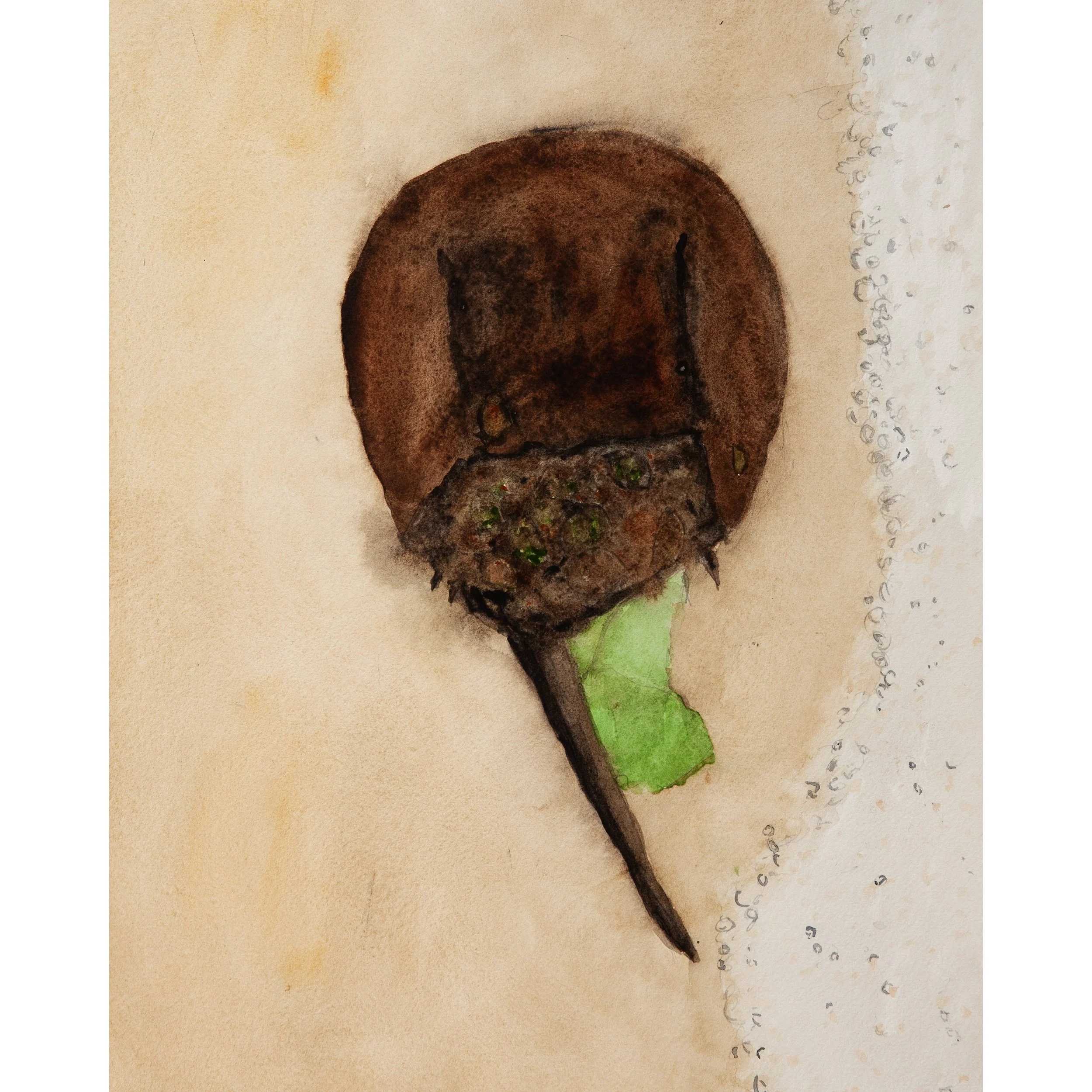 HorsehoeCrab_Paint_002_01_X1_0021_2500.jpg