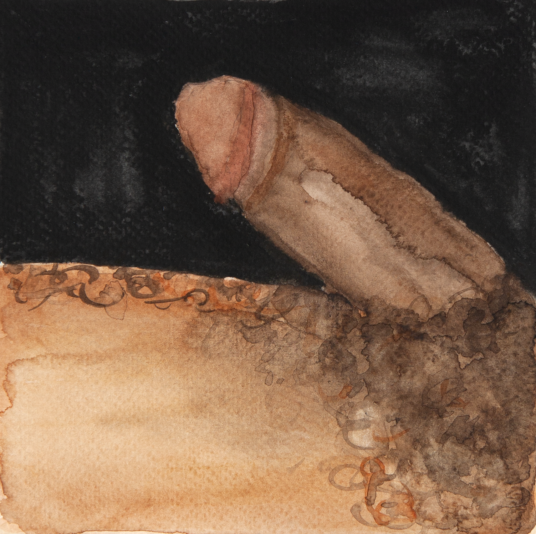 Polaroids_015_CROP.png