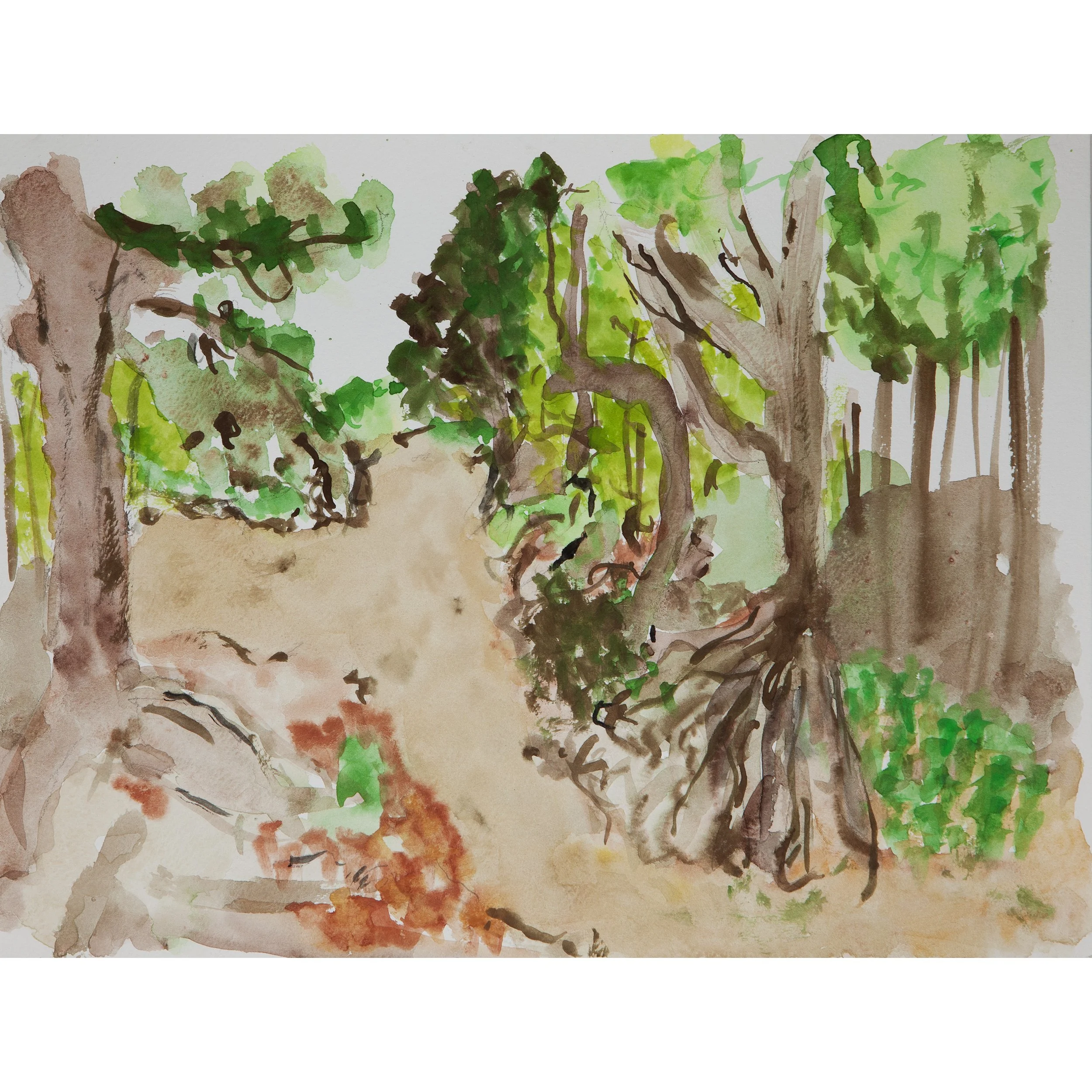MeatRackStudy_060125.jpg
