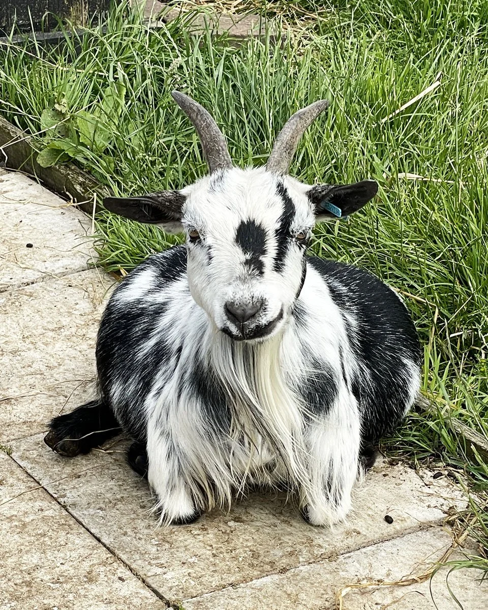 How can you be sad looking at these faces everyday?