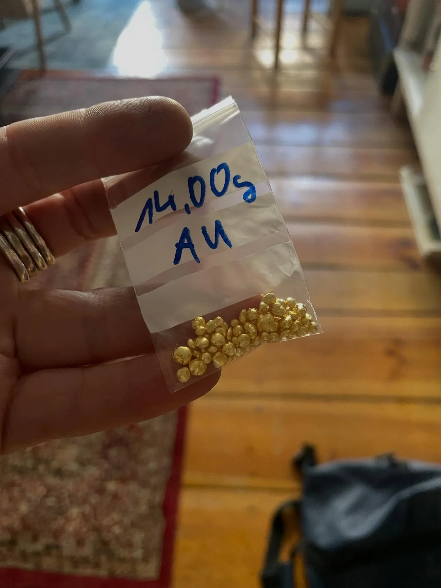 NY photo dump
1. The gold I hid before I left (found it)
2. Steamy Hudson River
3. Upstate tableau
4. Guns under expert tutelage
5.+6. Did not hit the cans I was aiming at 
7. Family and dogs
8. Location scouting
9. Marge, newest occupier of @homebod