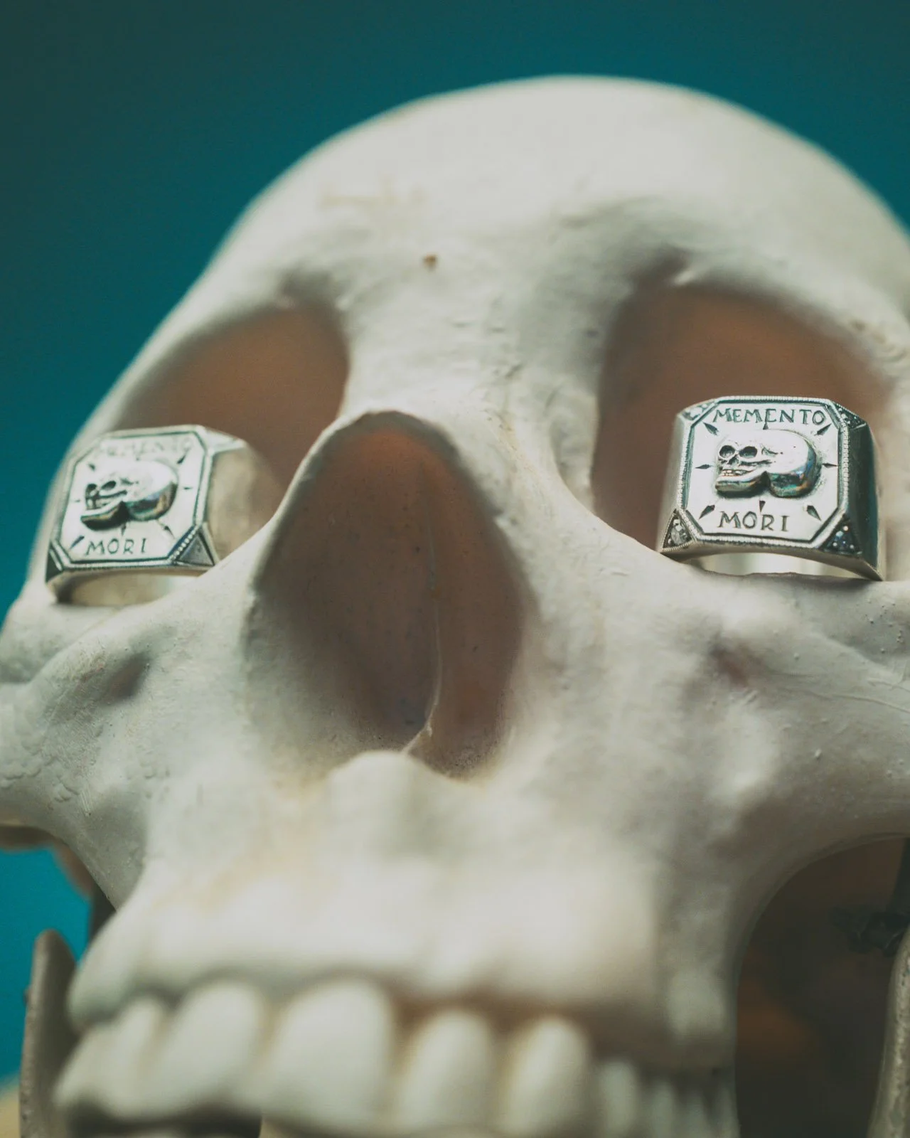 IGcrop_SKULL AND CROSSBONES DRAG KING 2025 12 06-1100261.jpg