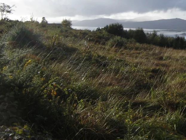 view nw from s of site.JPG