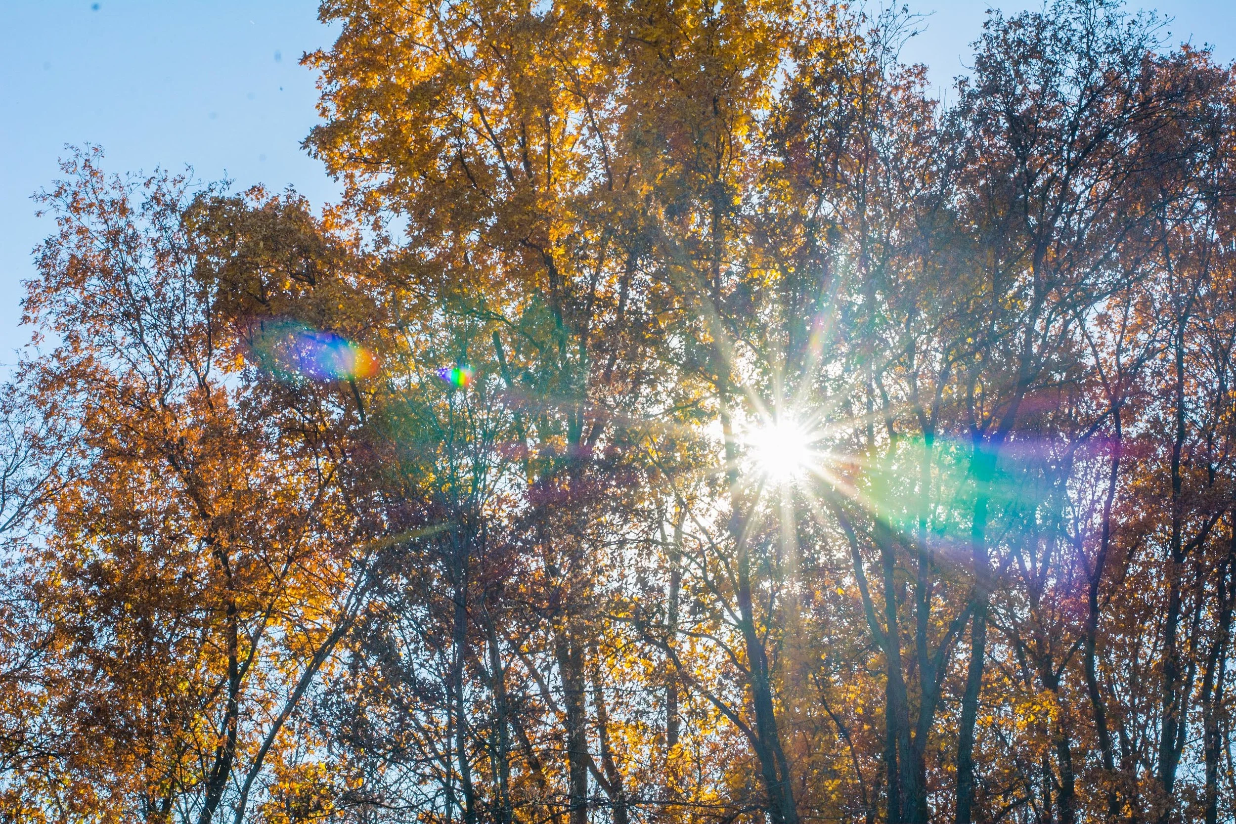 RAW_4249.jpg