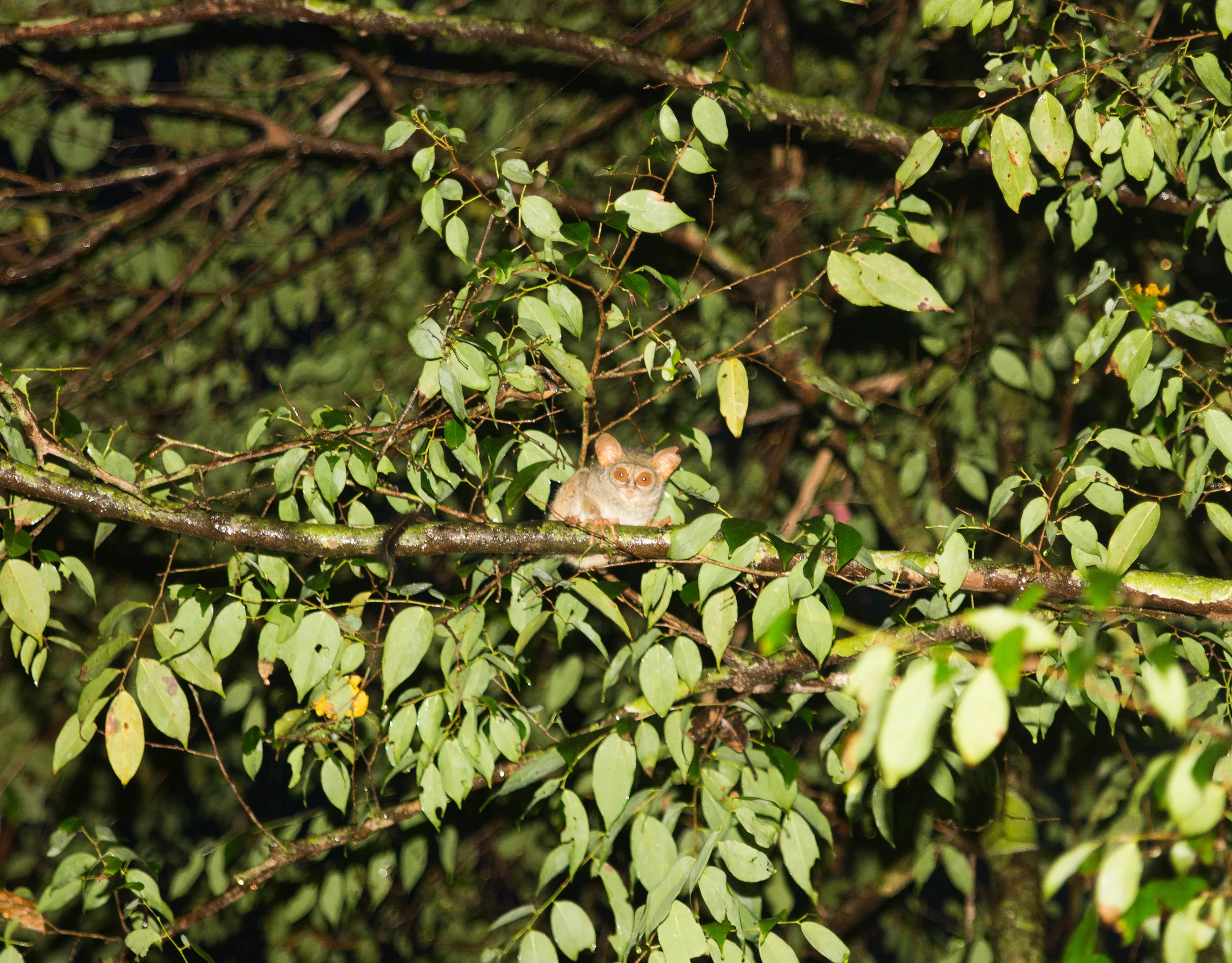 RAW_5237-2.jpg