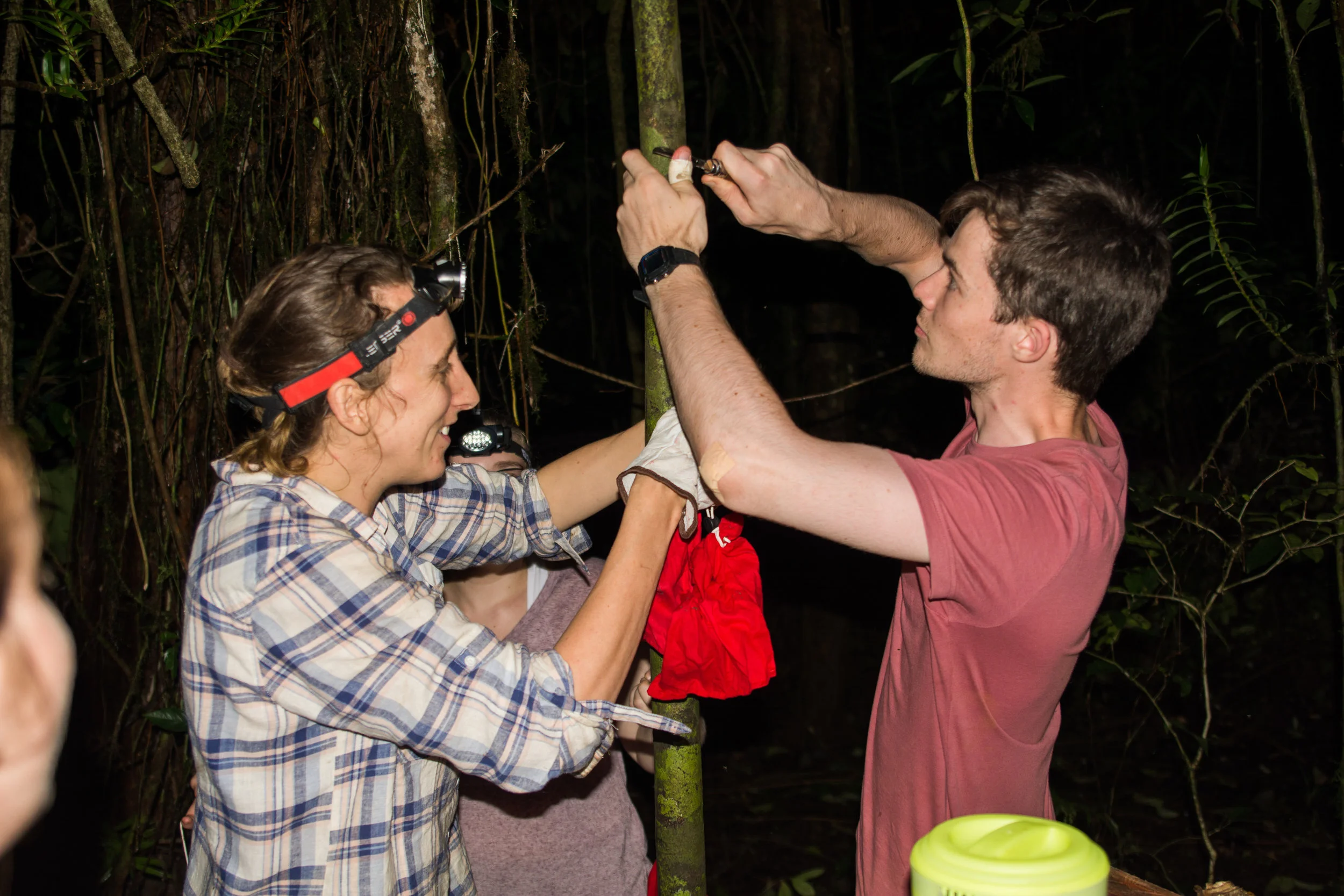 RAW_5262-2.jpg