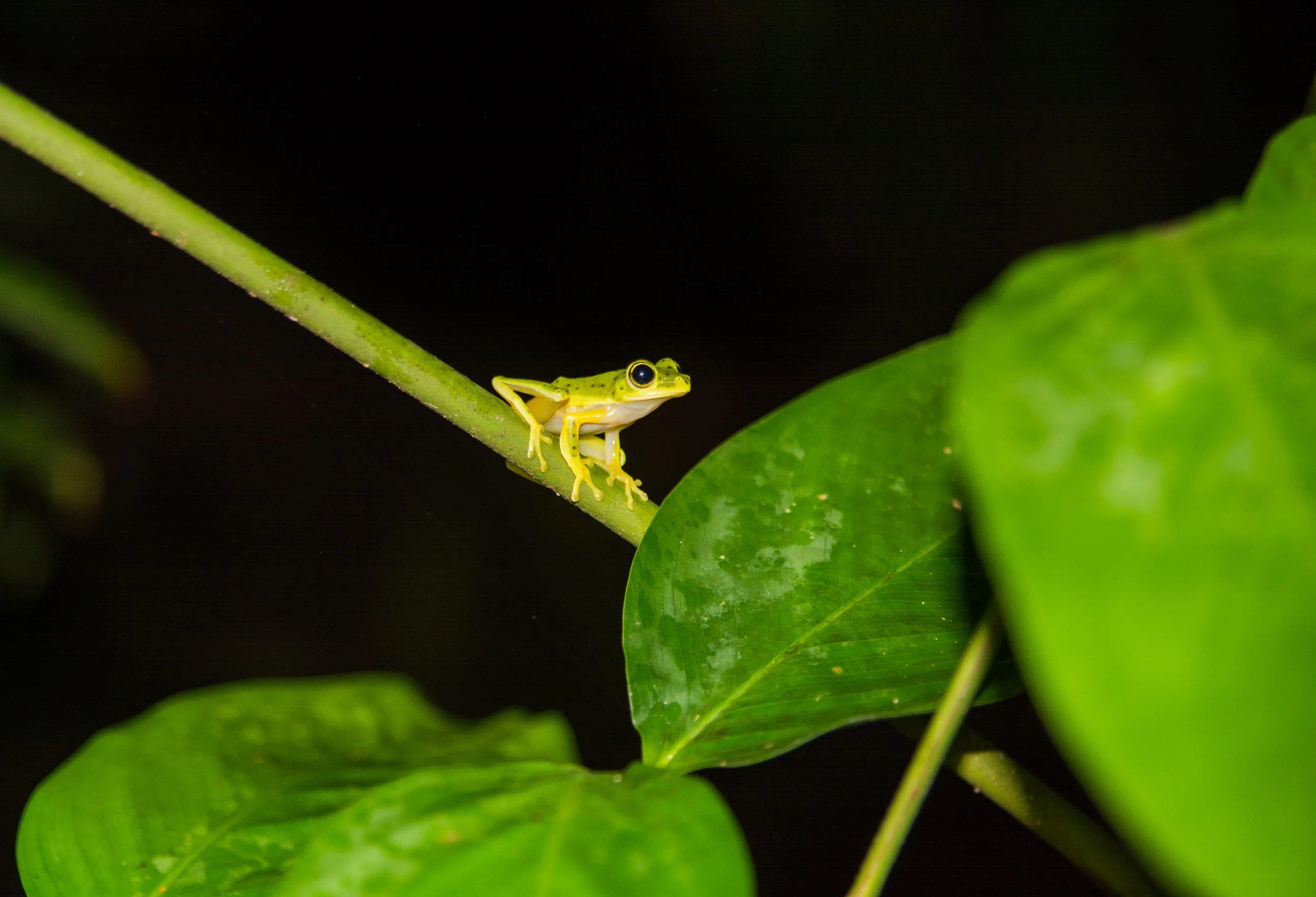 RAW_5316-2.jpg