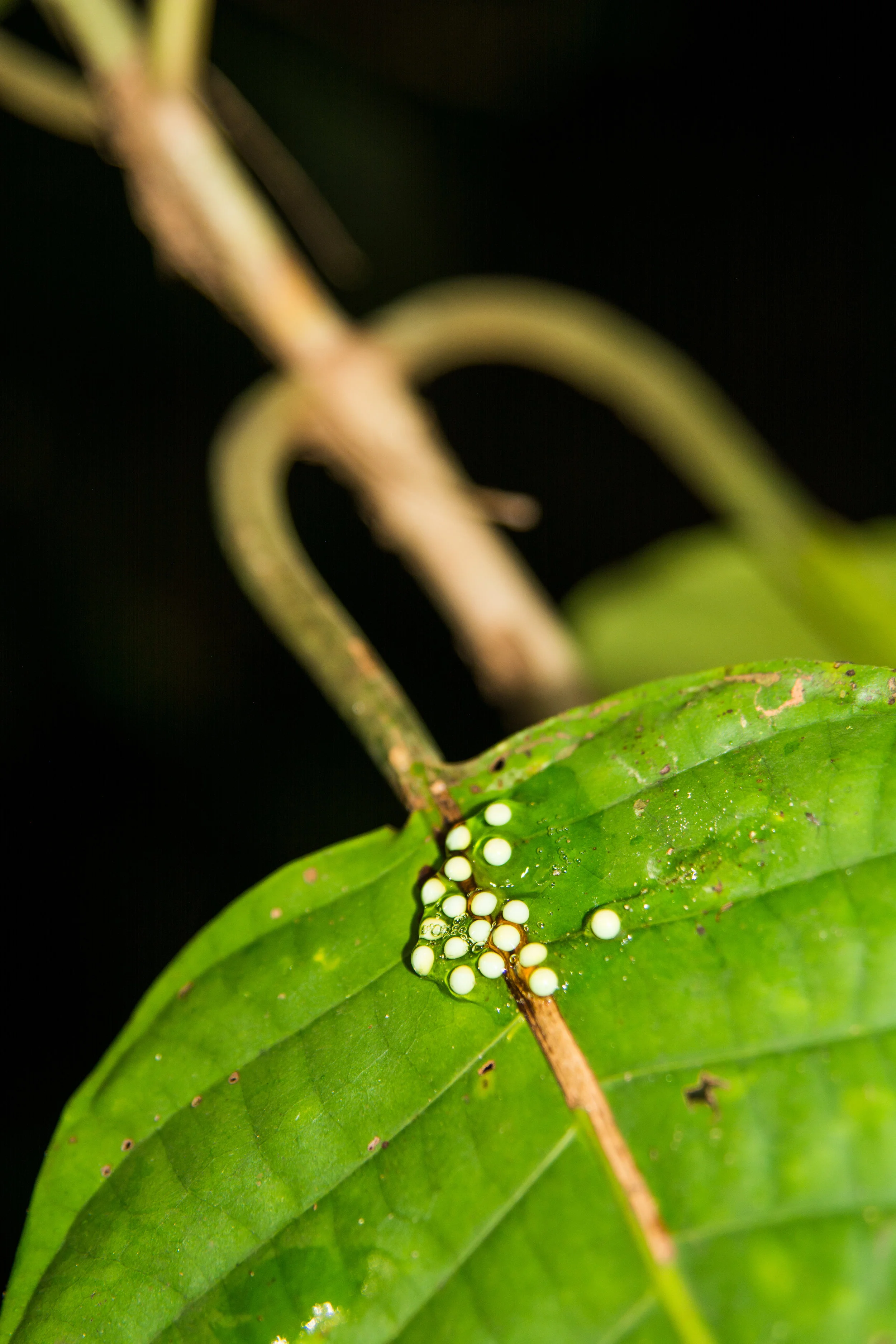 RAW_5342-2.jpg