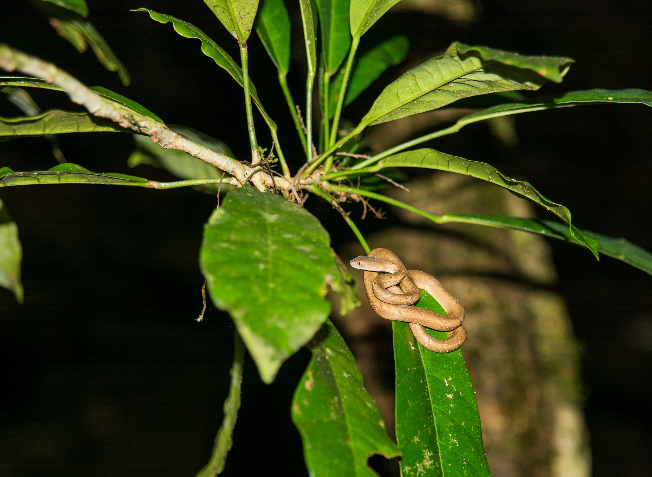 RAW_5349-2.jpg
