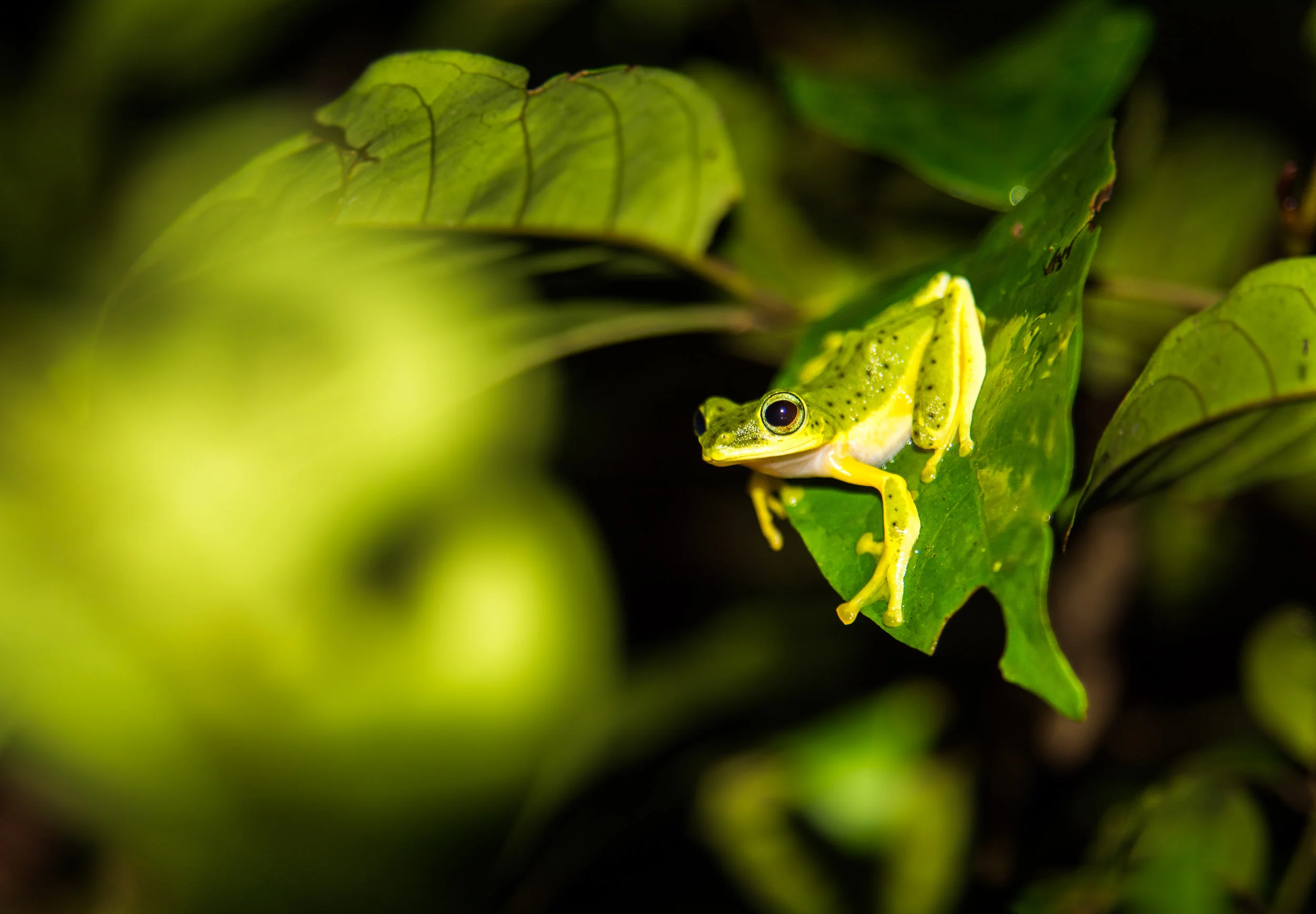 RAW_5414-2.jpg