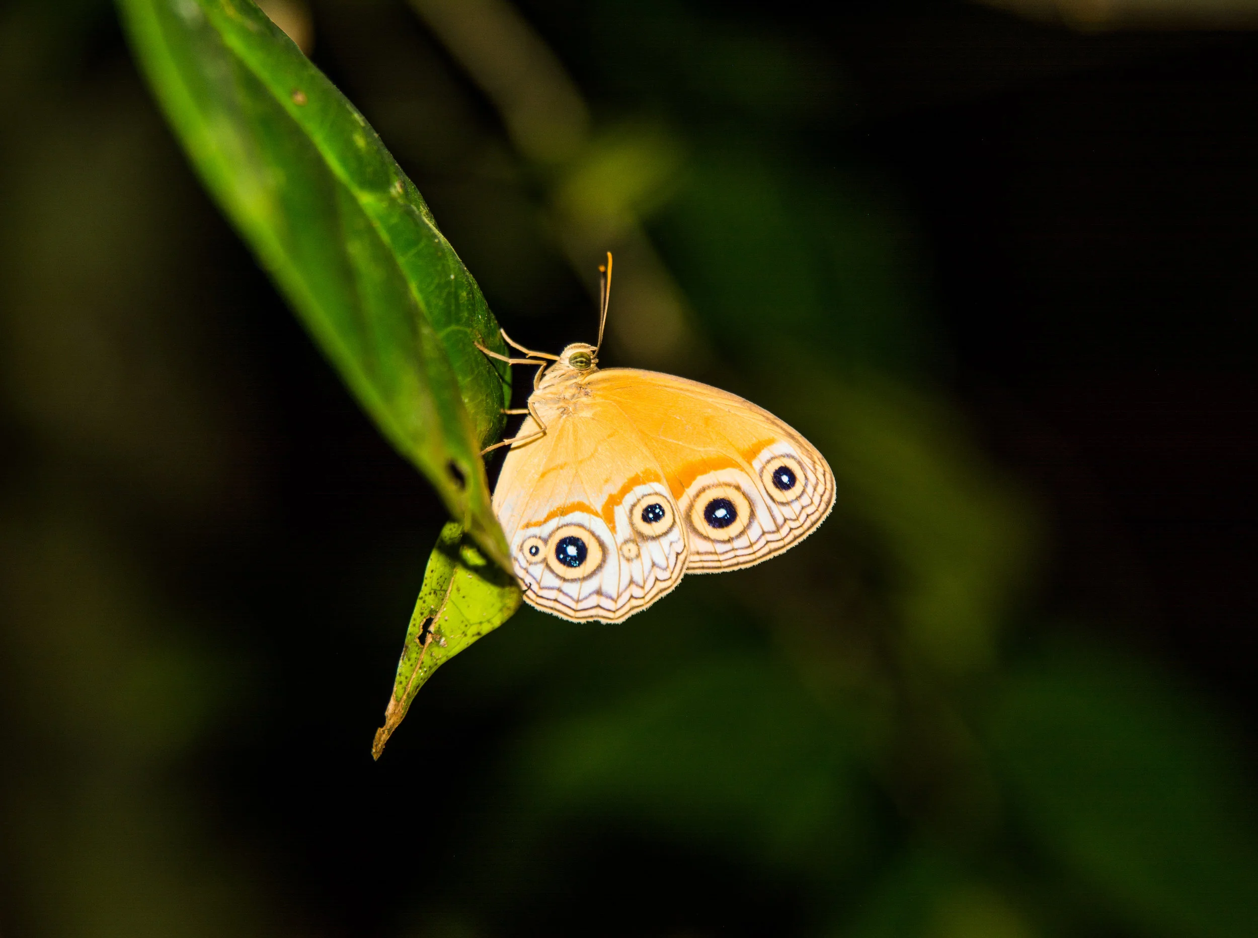 RAW_5426-2.jpg