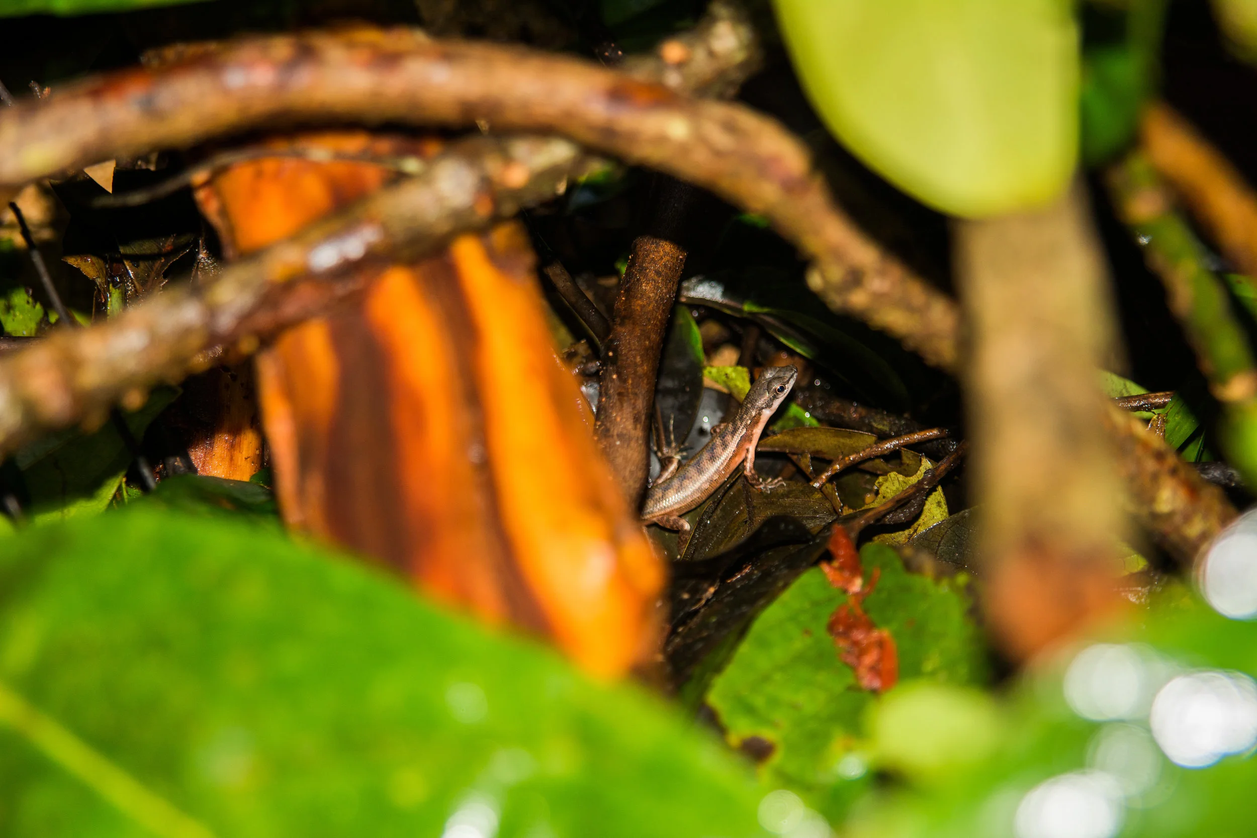 RAW_5448-2.jpg