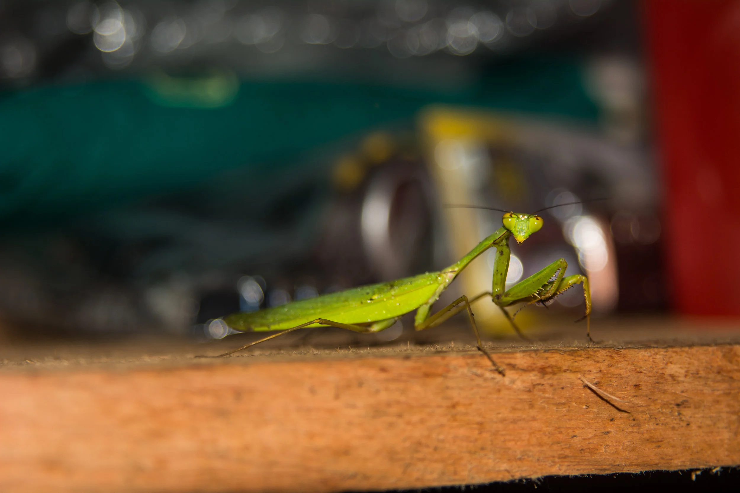 RAW_5500-2.jpg
