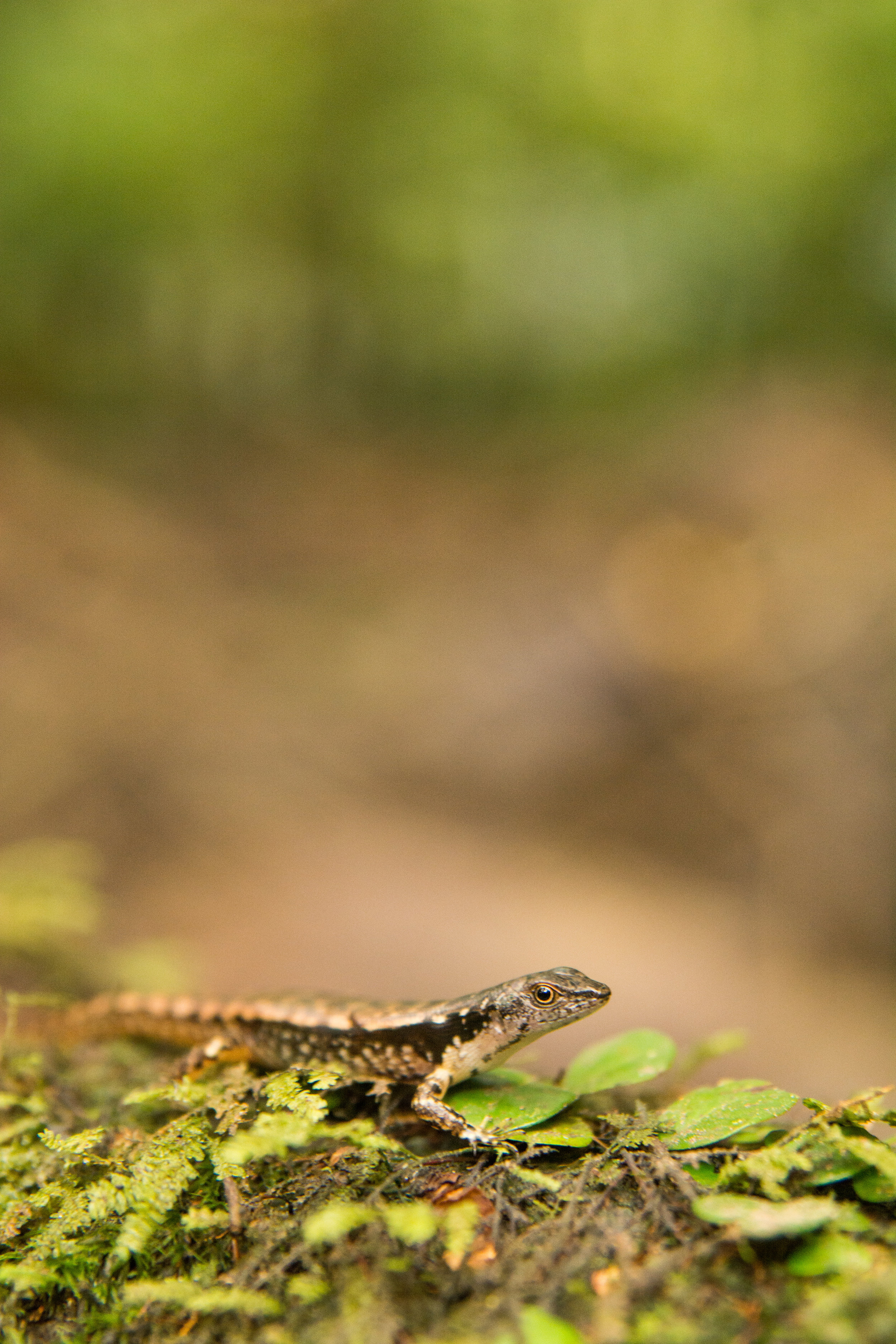 RAW_5619-2.jpg