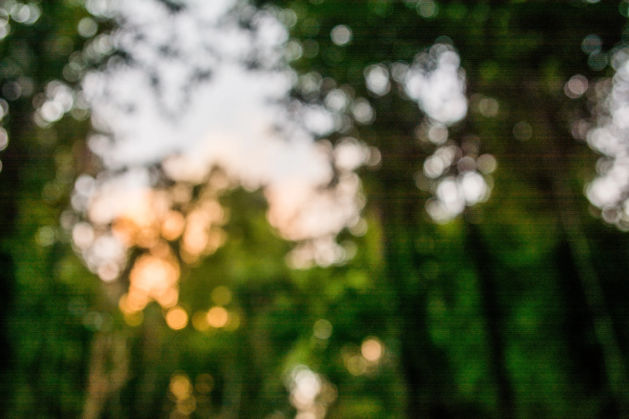 RAW_5625-2.jpg
