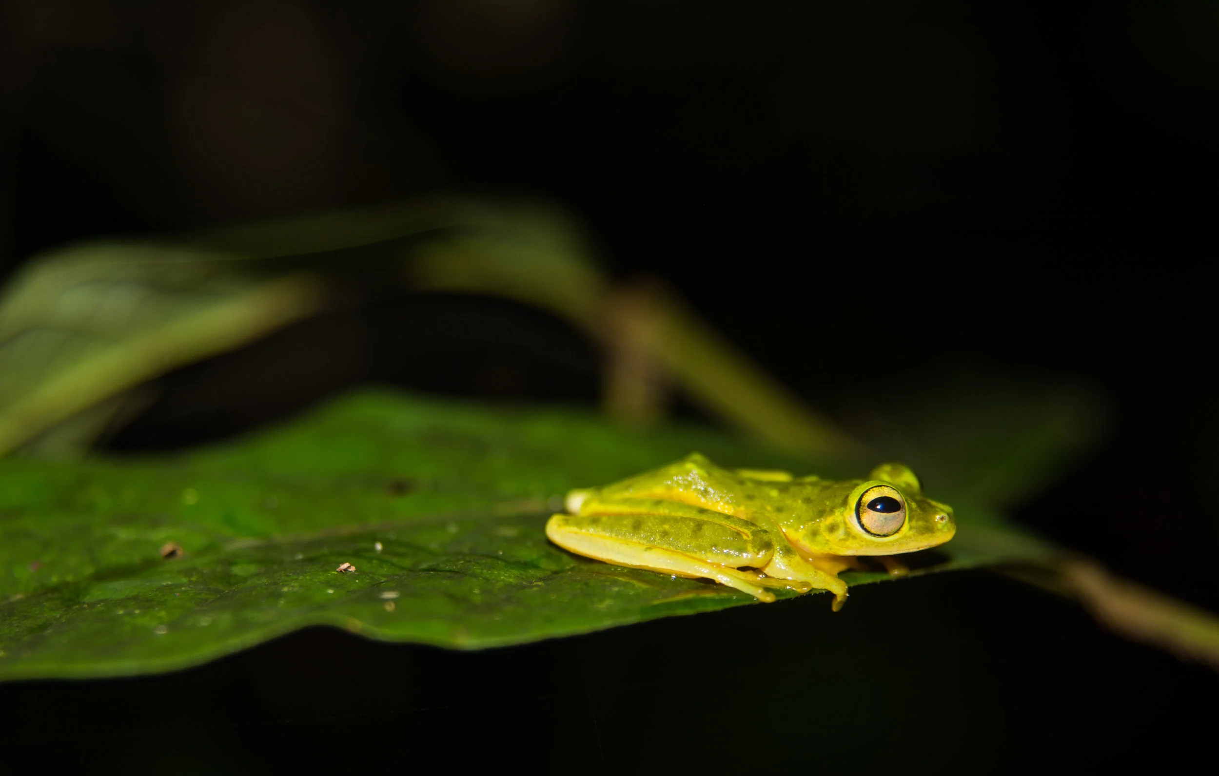 RAW_5731-2.jpg