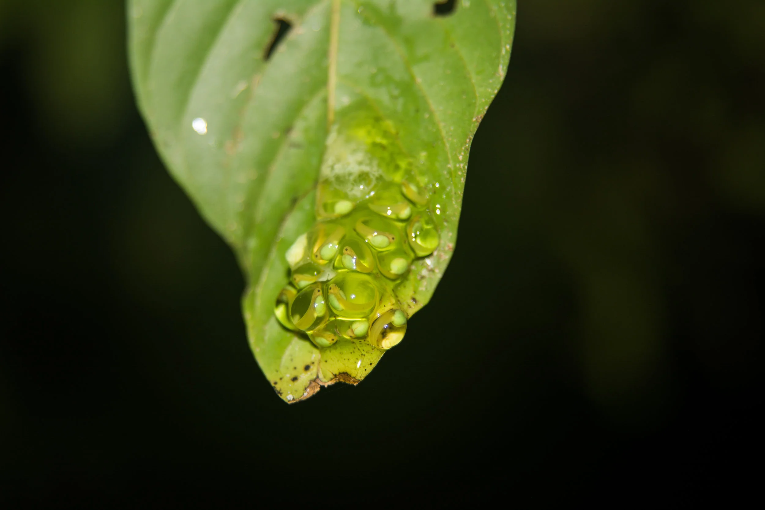 RAW_6049.jpg