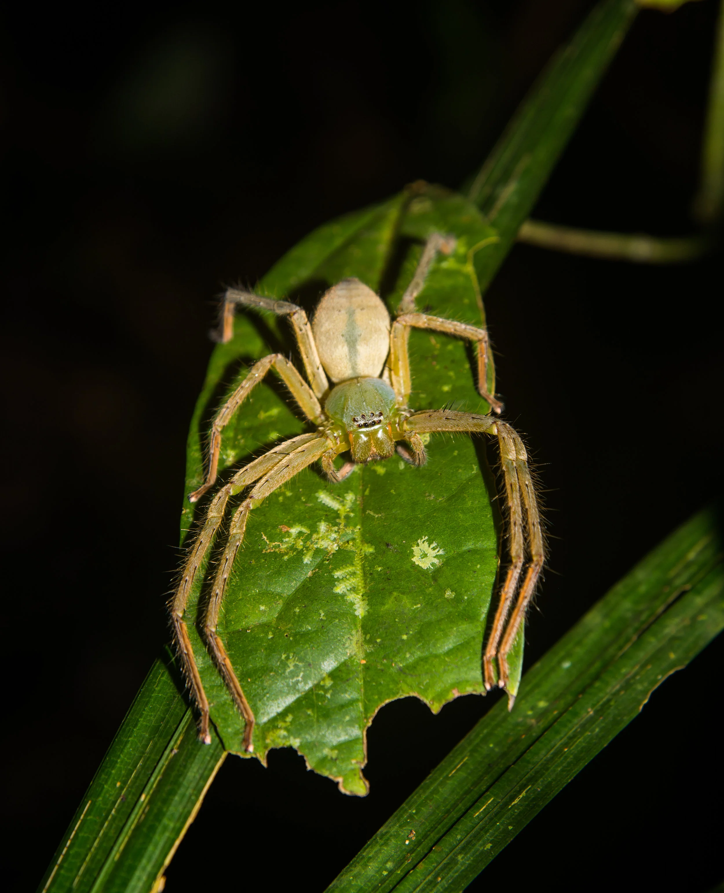RAW_6076.jpg