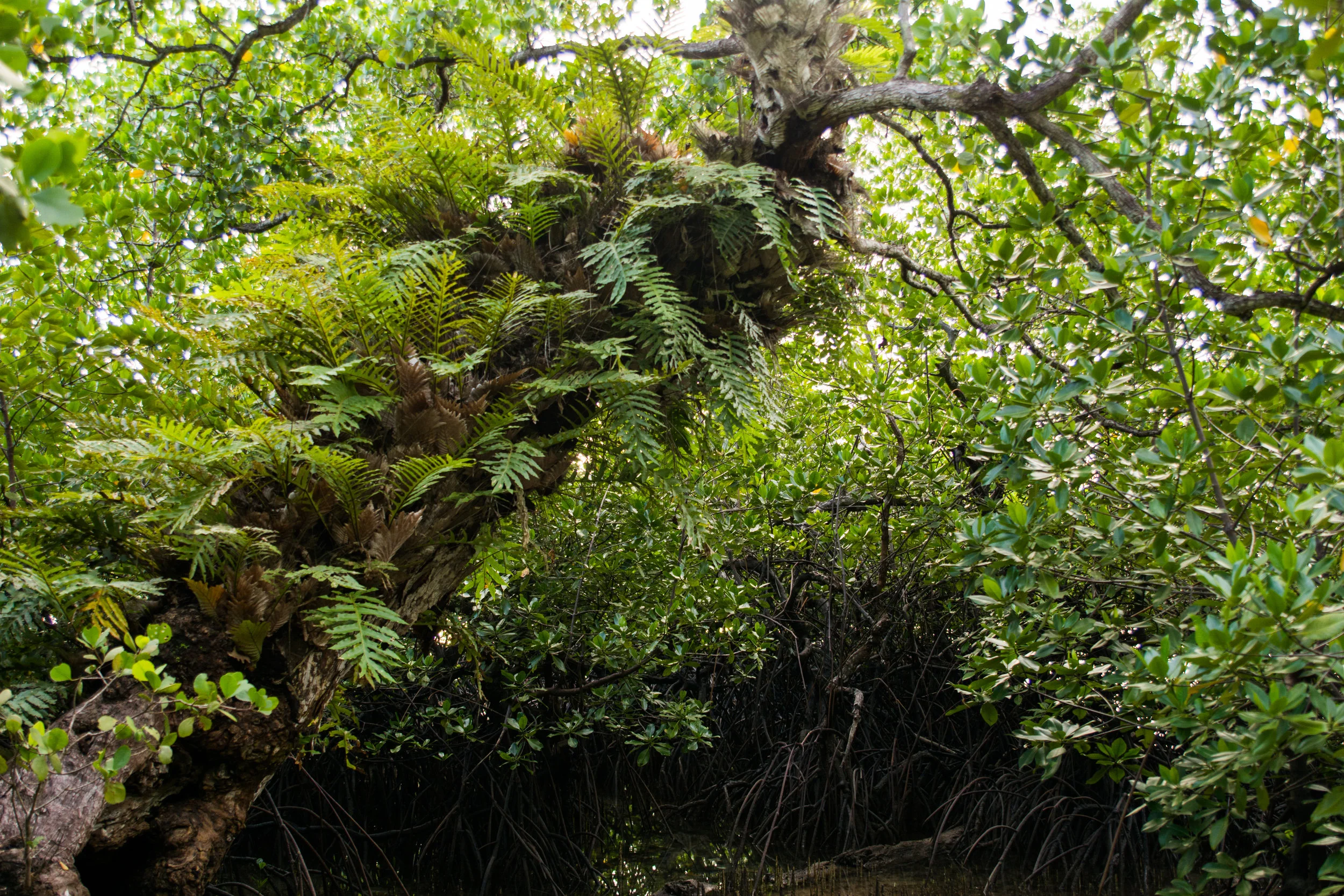 RAW_6222.jpg