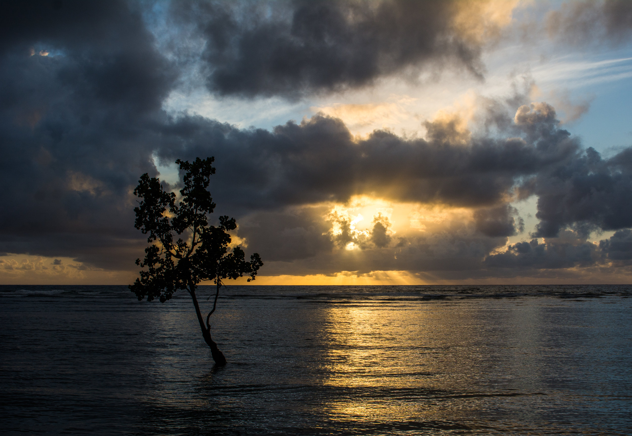 RAW_6315.jpg