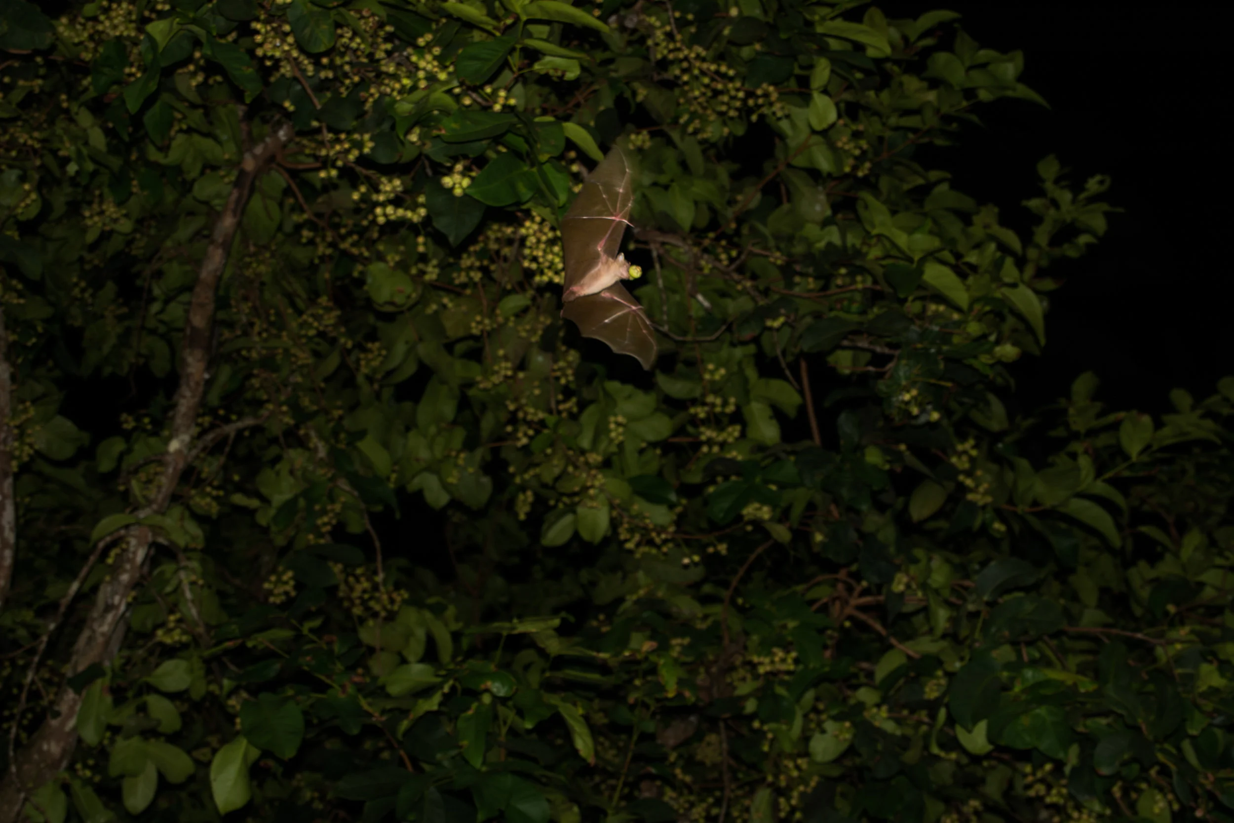 RAW_7004.jpg