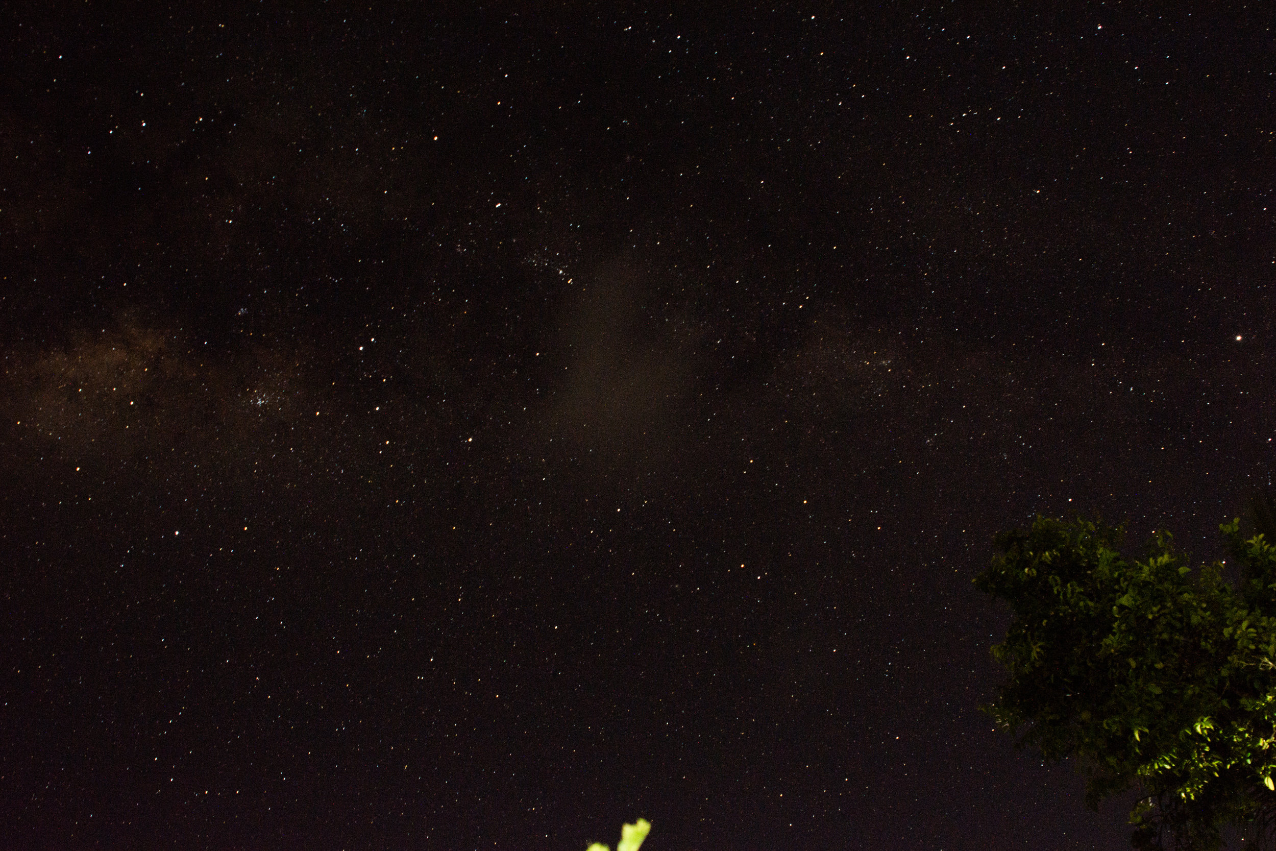 RAW_7005.jpg