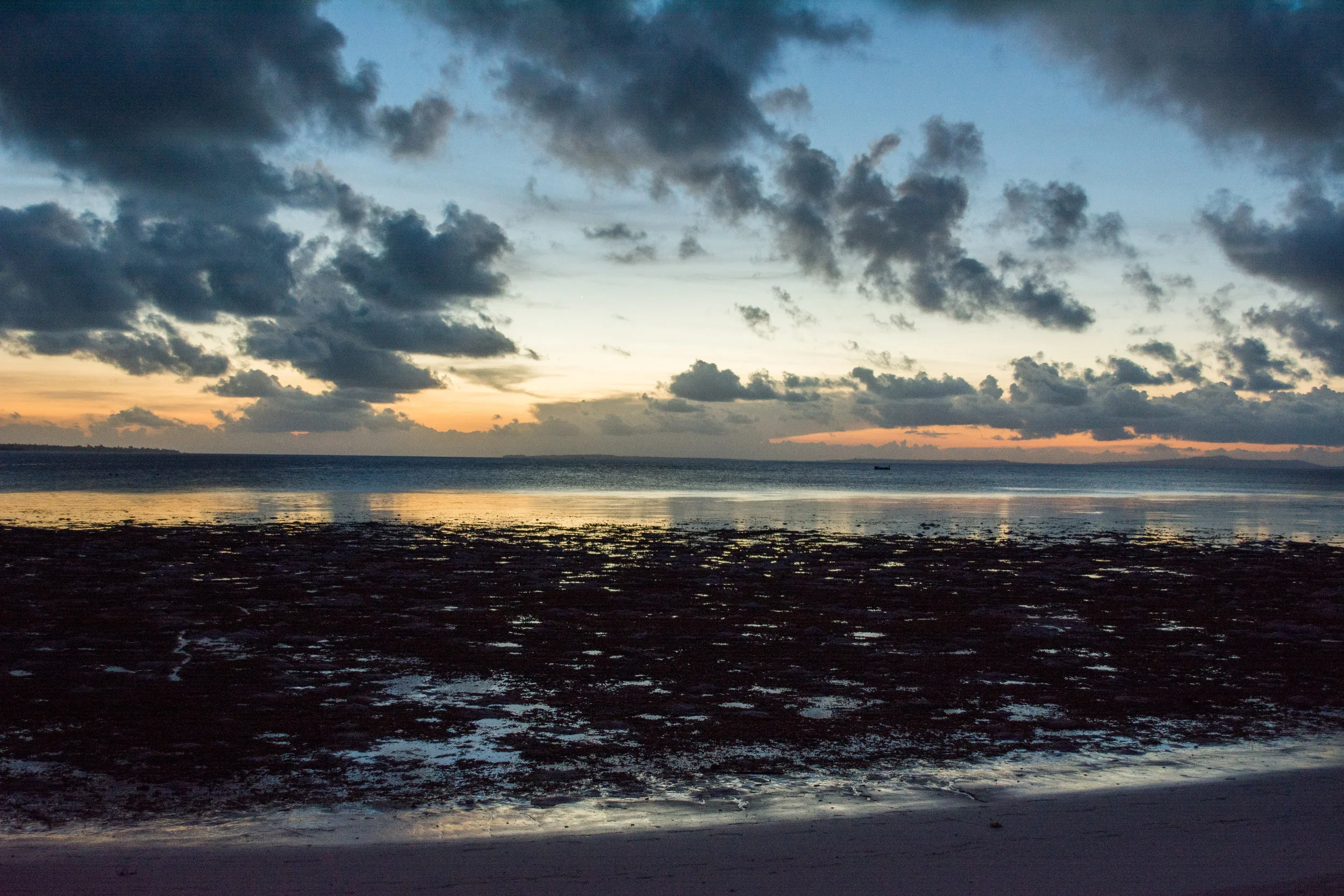 RAW_8459.jpg