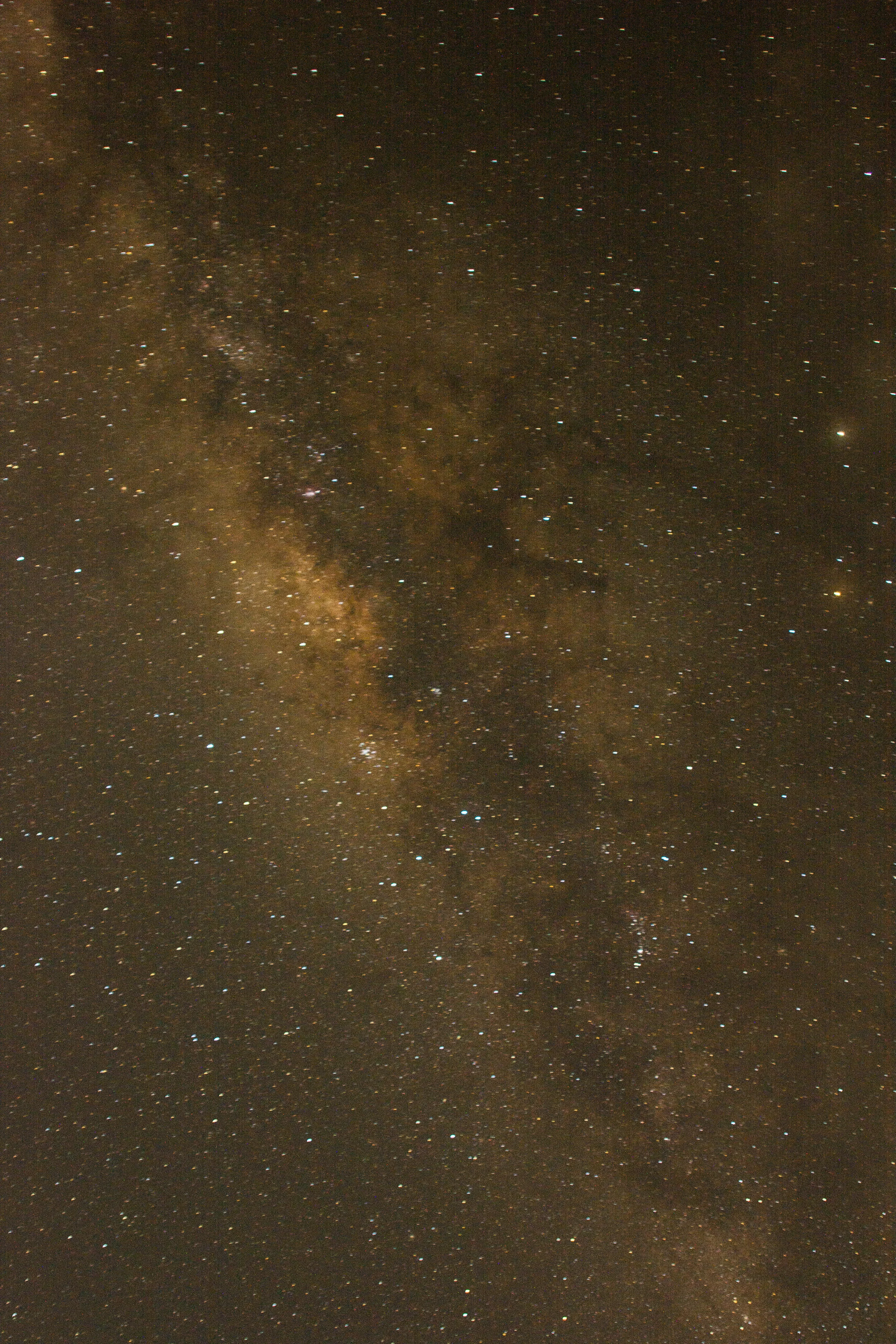 RAW_8484.jpg