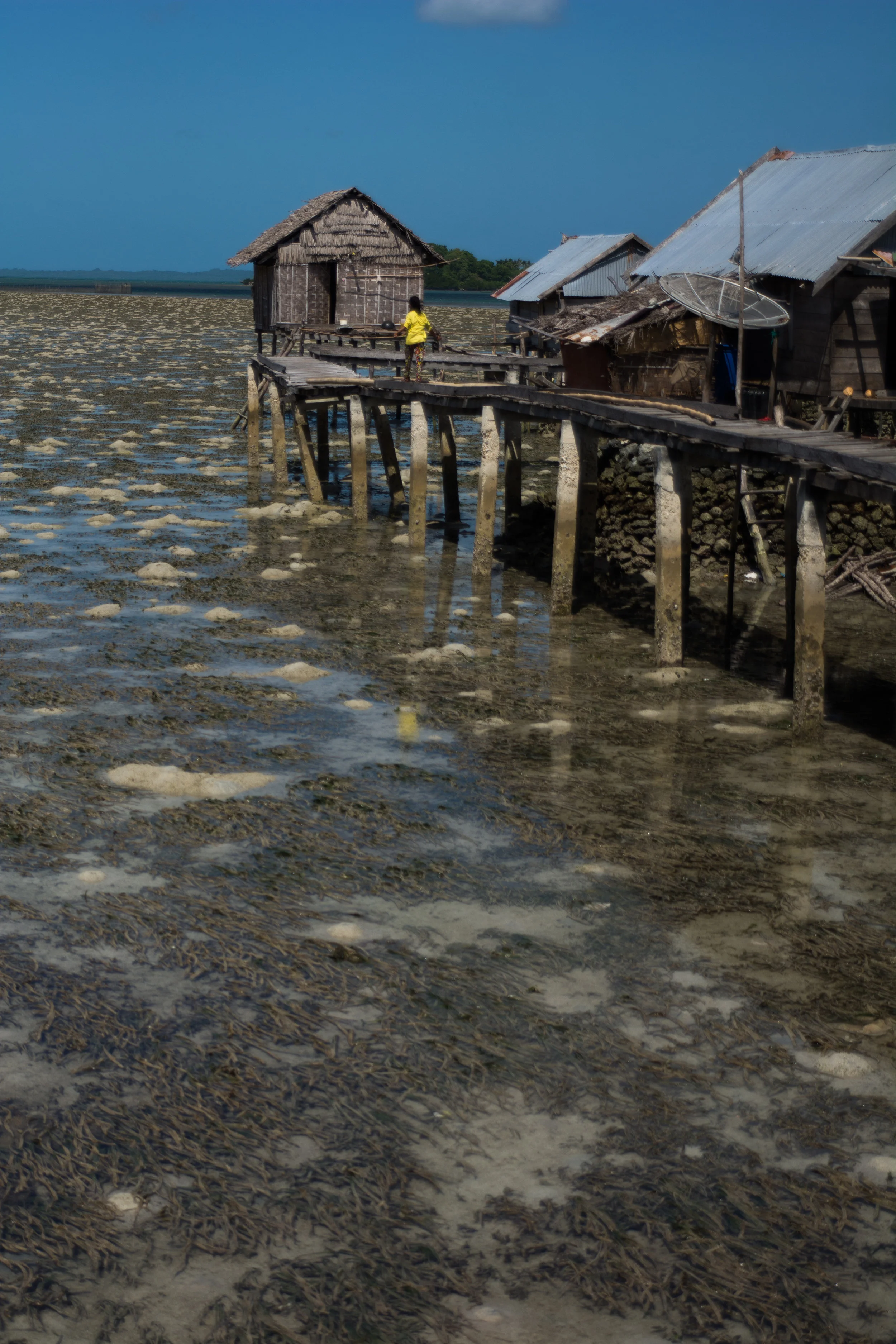RAW_8722.jpg